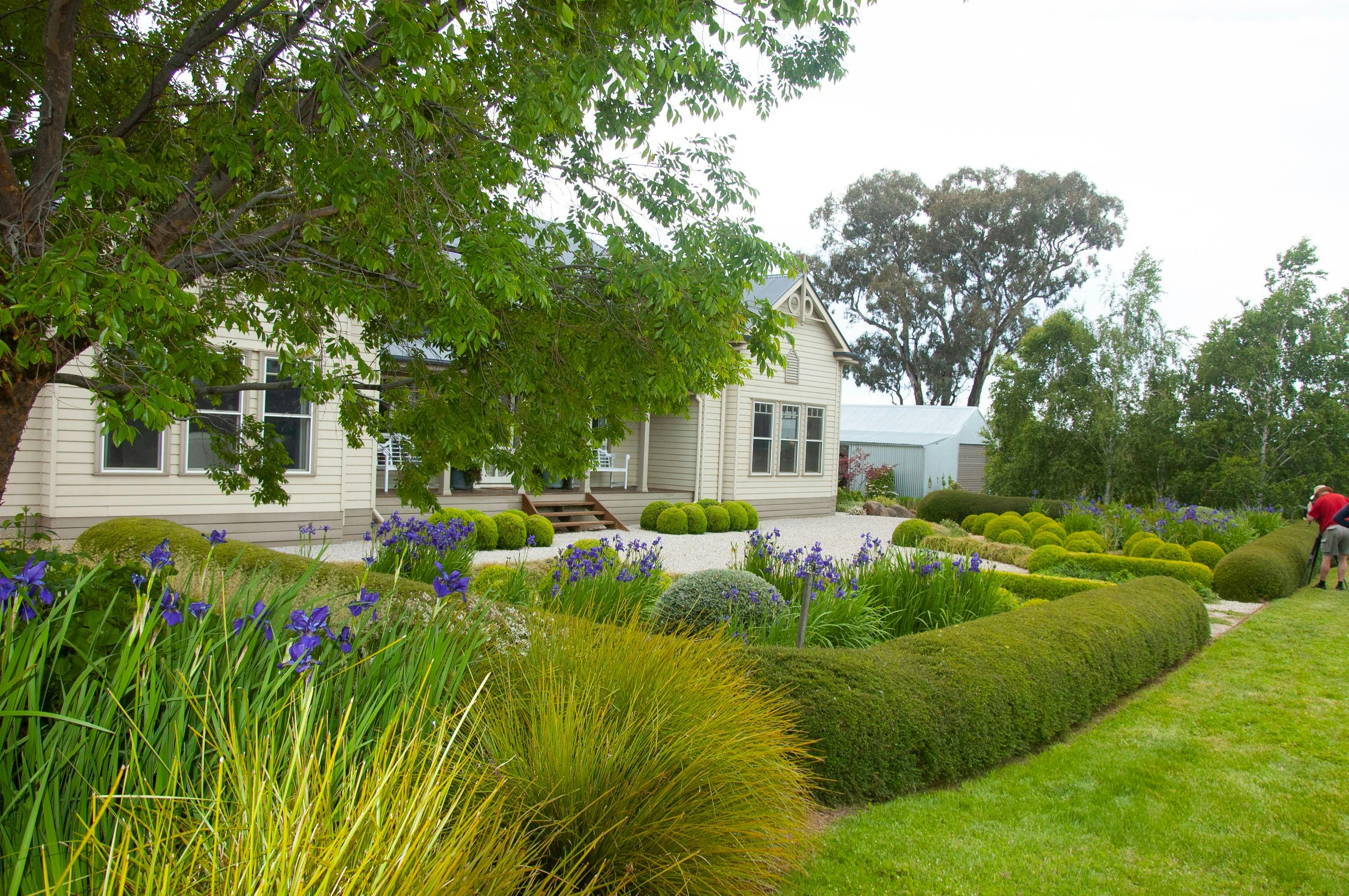 Visit Colleen Southwell's 'The Garden Curator'