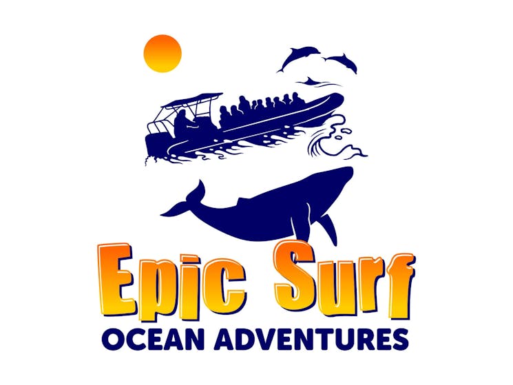Epic Surf Whale Watch Forster
