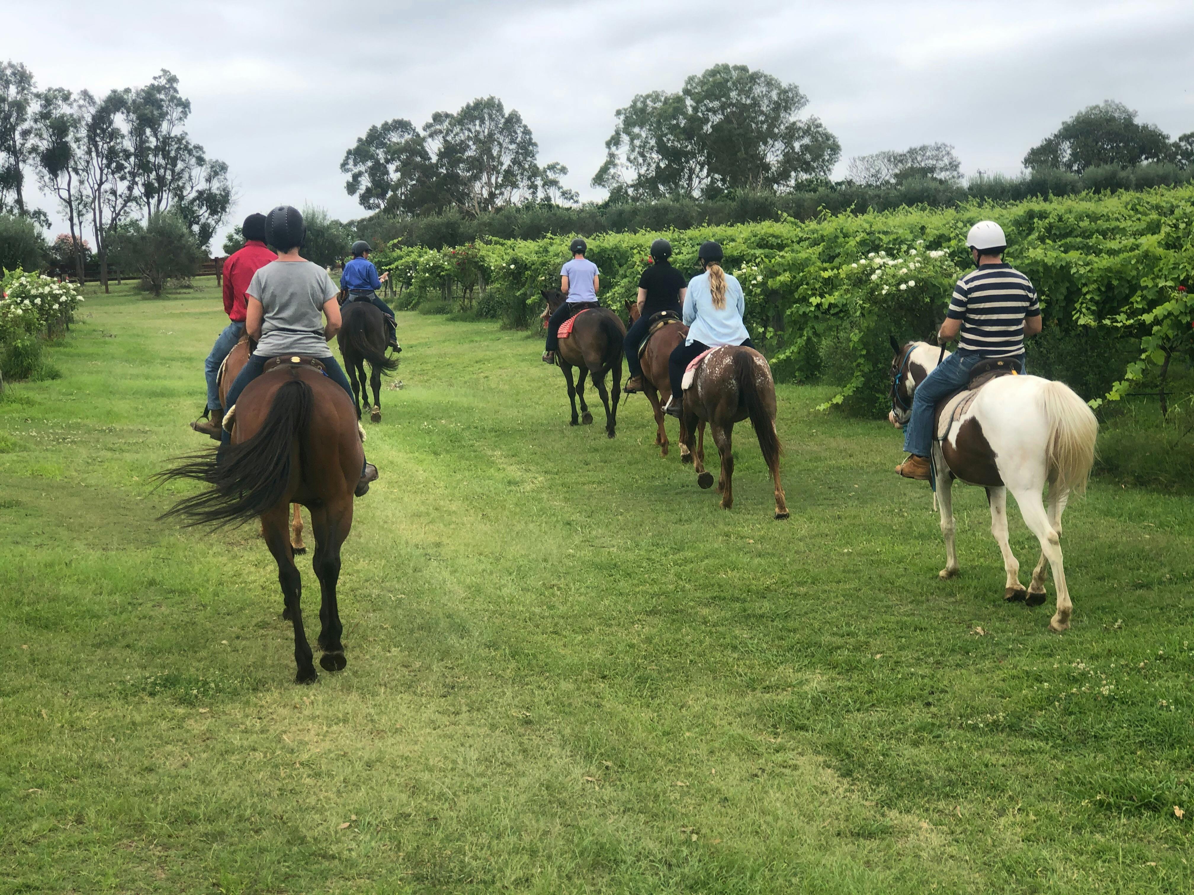 How perfect riding through the stunning Irongate Vineyard