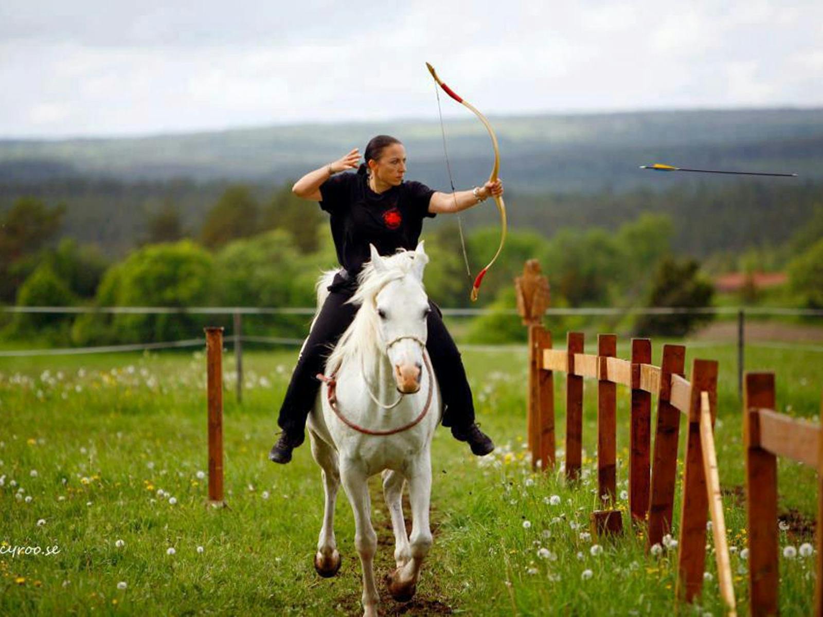 Image for Australian Horse Archery Association National Championships