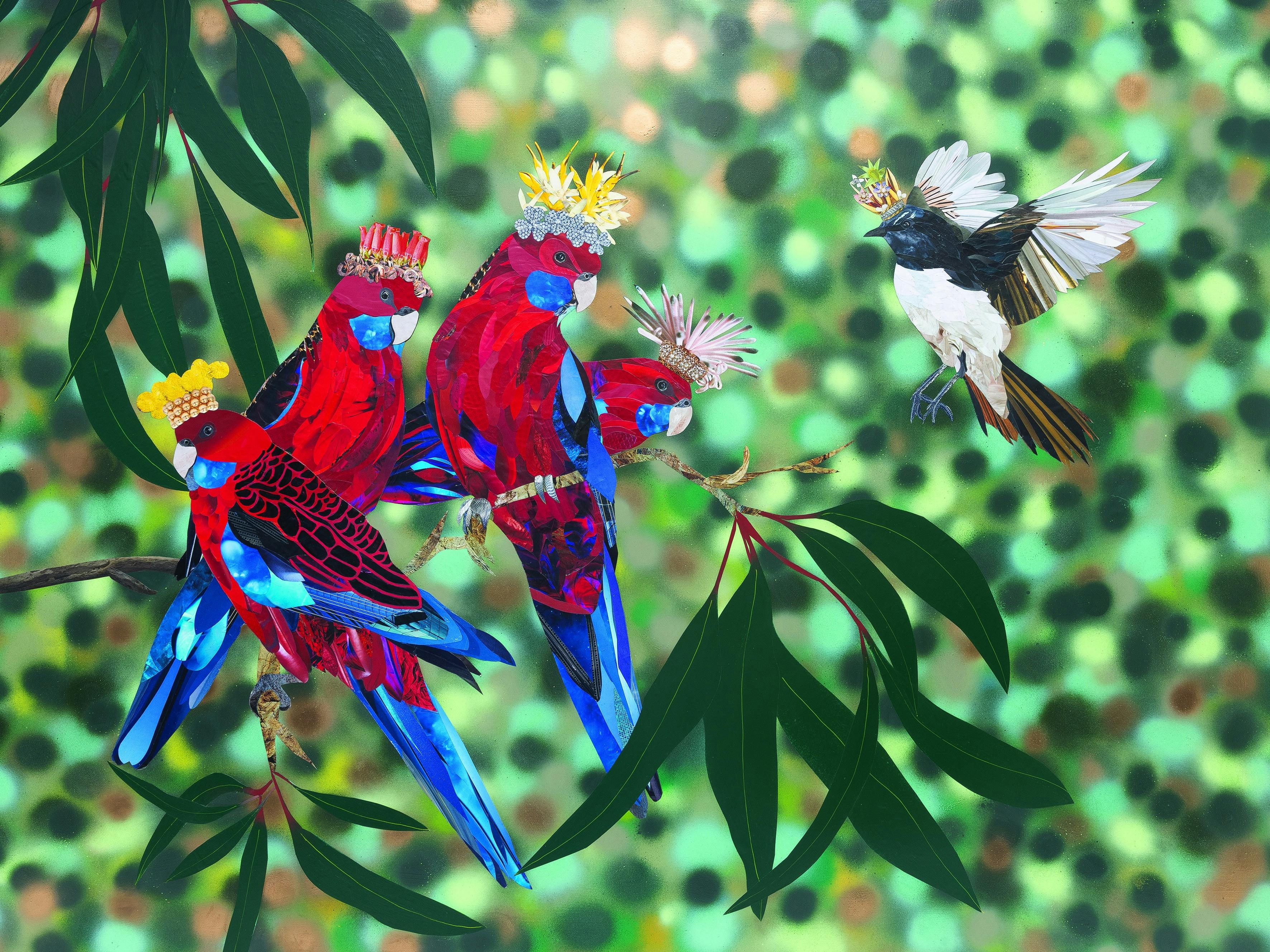 Four rosellas perched on a branch proudly wearing their native crowns. And in flies a willy wagtail