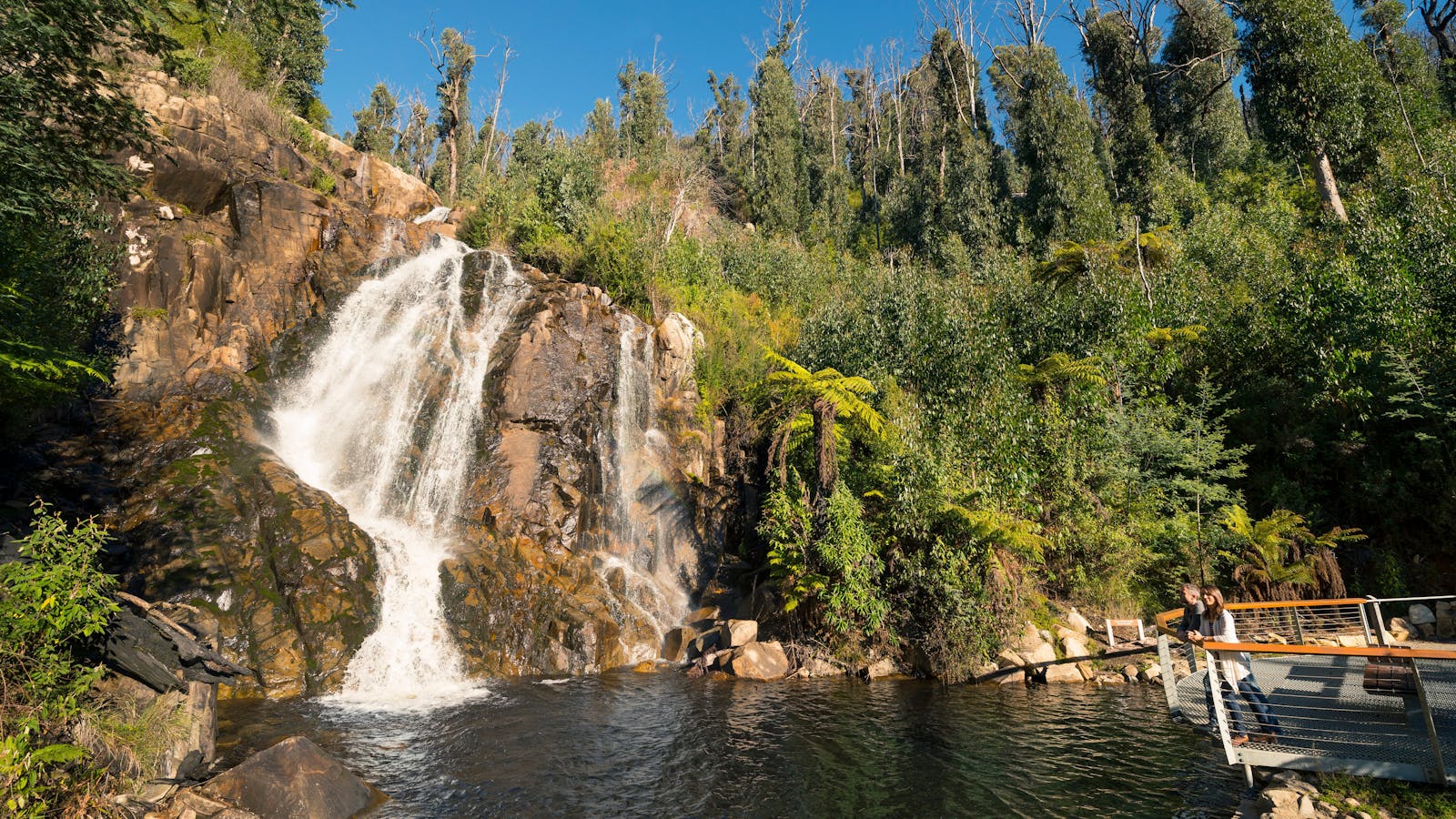 Steavenson Falls