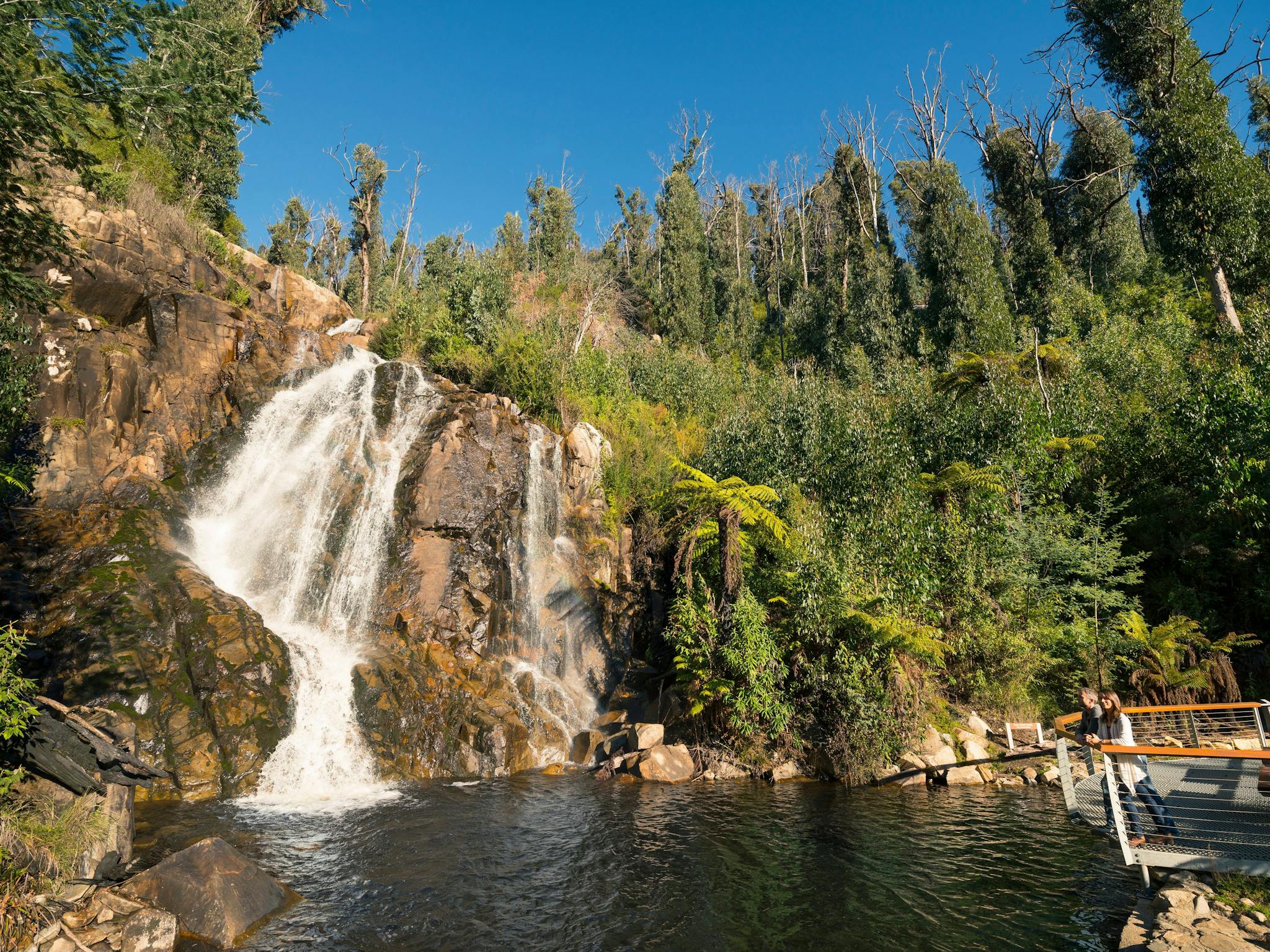 Steavenson Falls