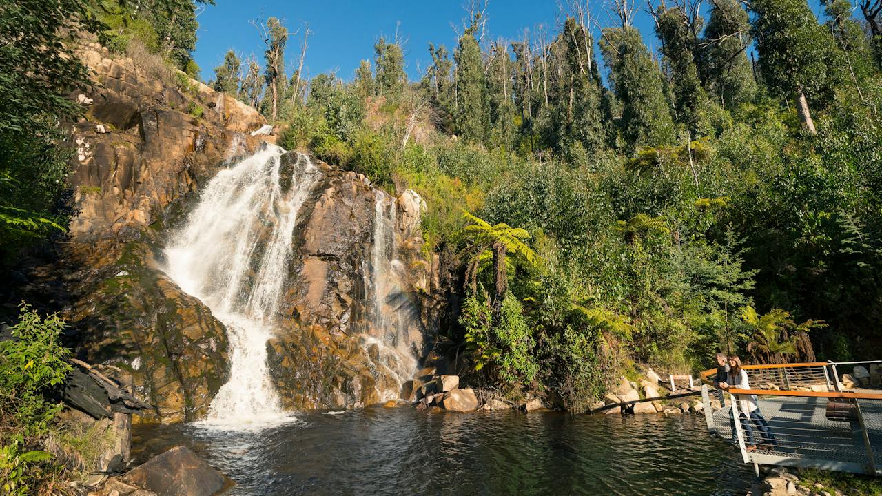 Steavenson Falls