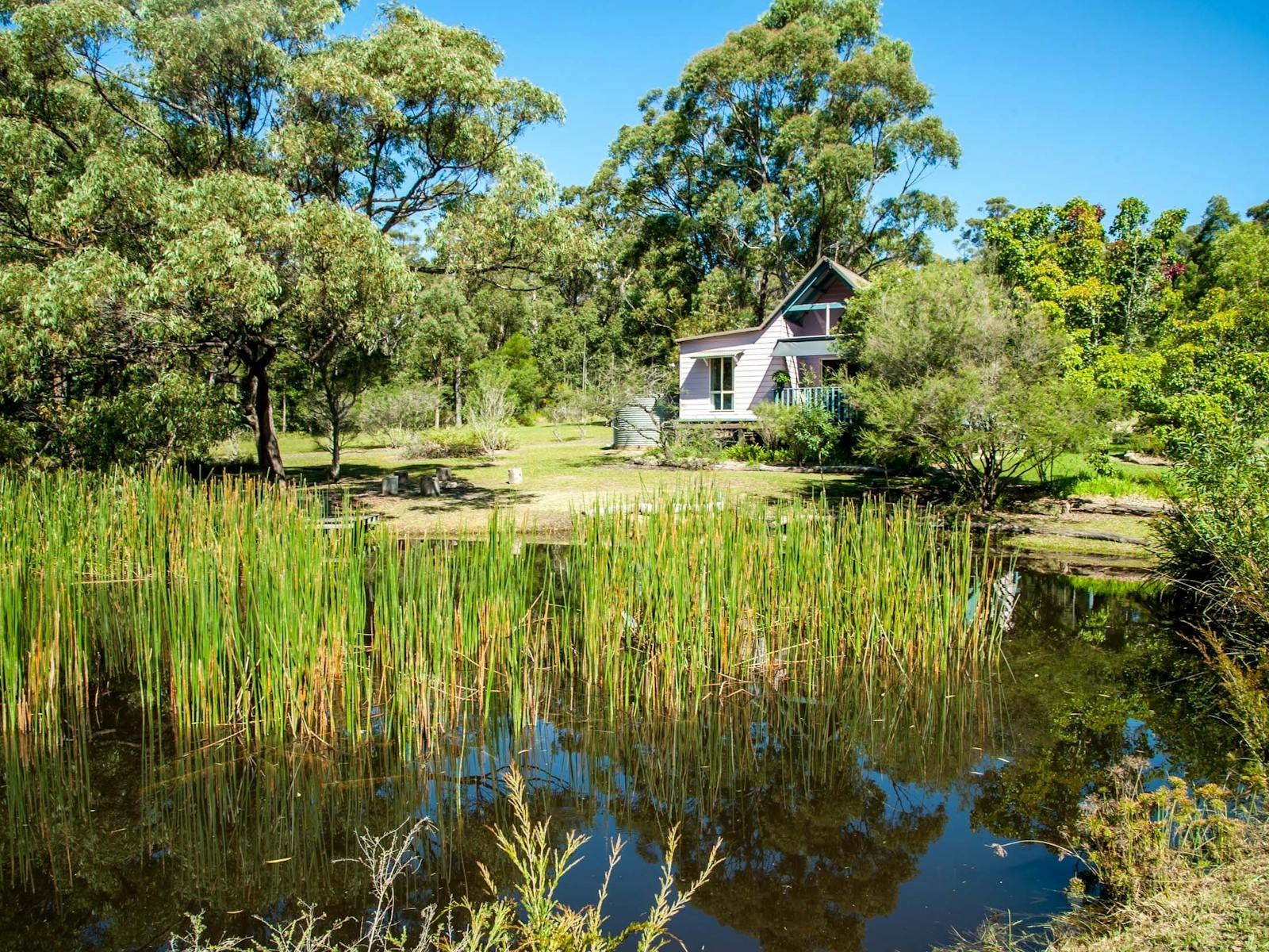 Corroboree Cottage overlooking its own Billabong. Gorgeous outlook,  serene and stunning.