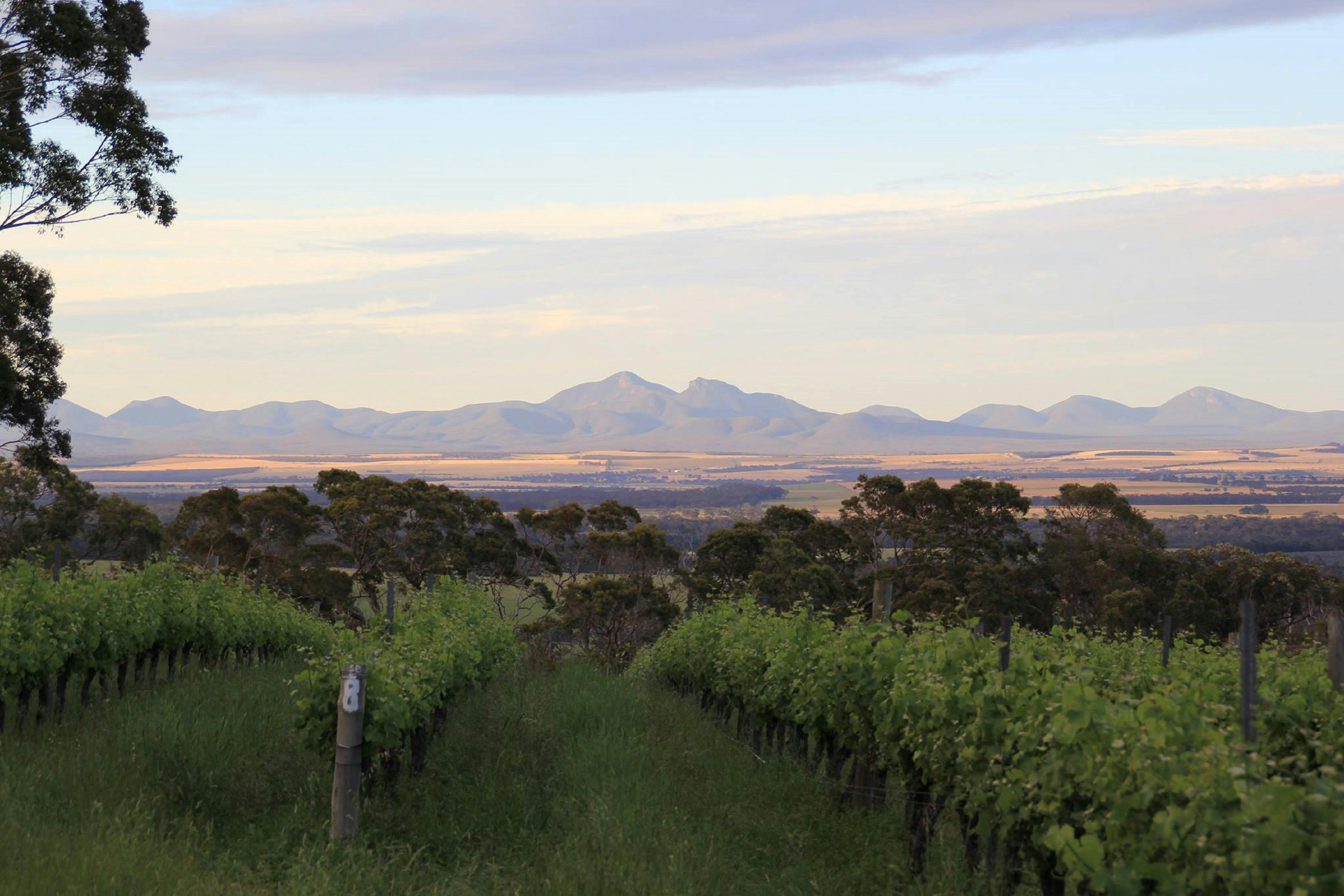 Castle Rock Estate Winery