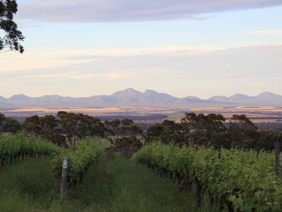 Castle Rock Estate Winery