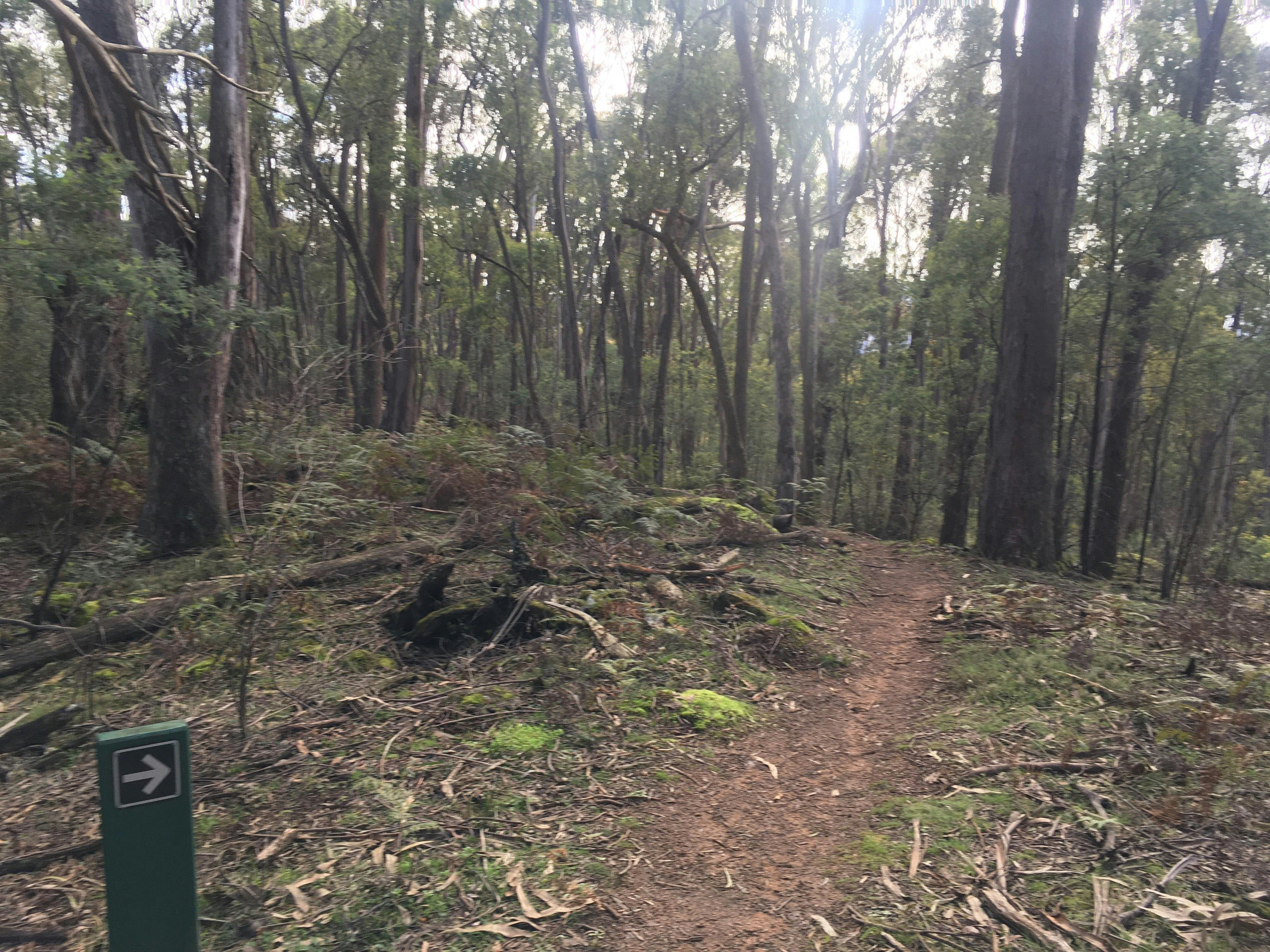 Lima Falls Walking Track