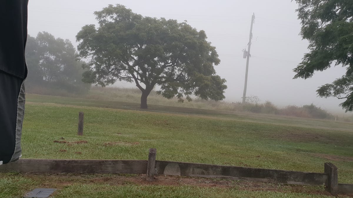 Foggy morning