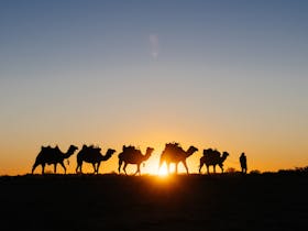 The play of shadows as the sun sets on a day of camel trekking in the Far North Flinders Ranges