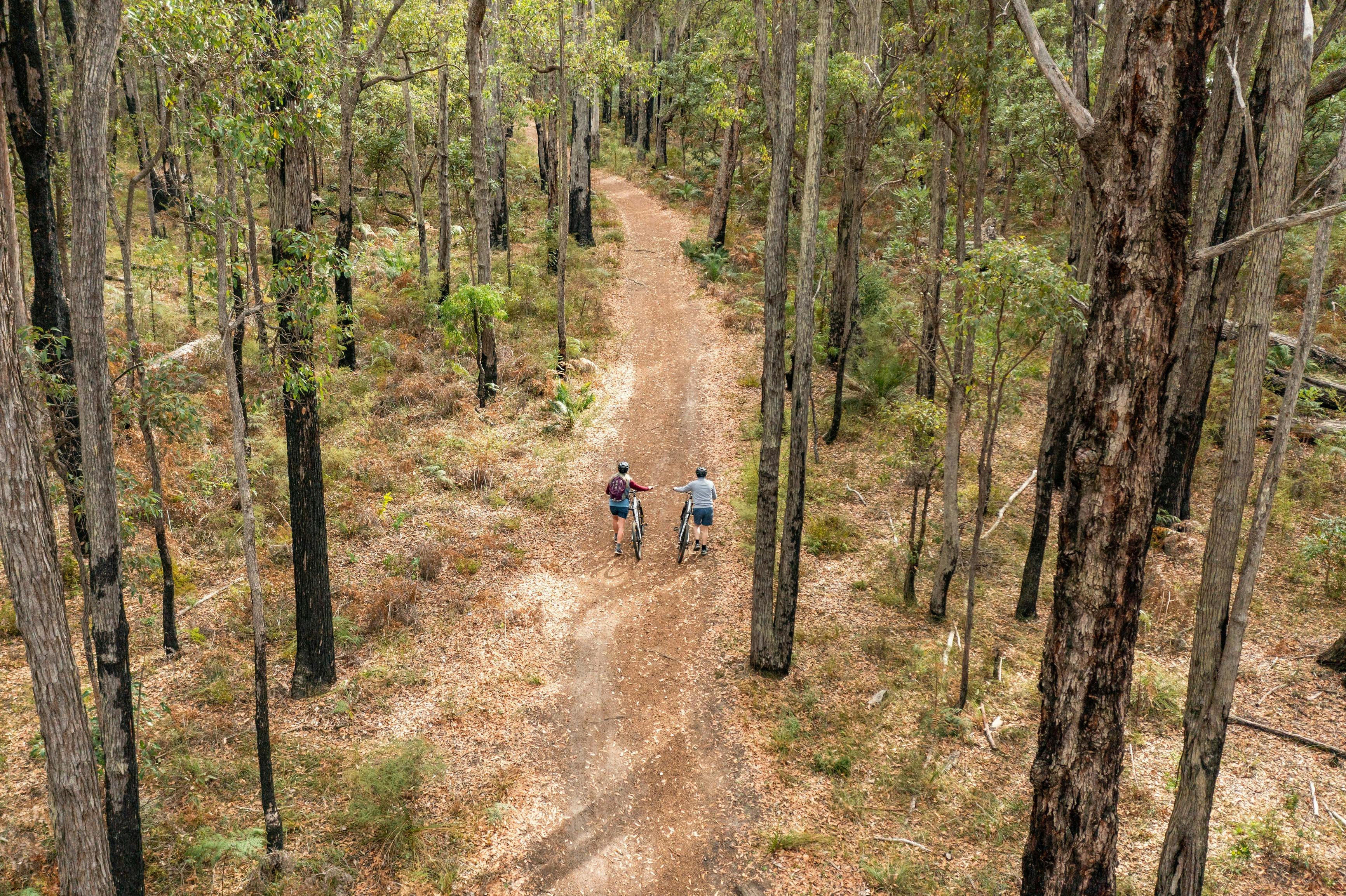 Dwellingup Adventures, Dwellingup