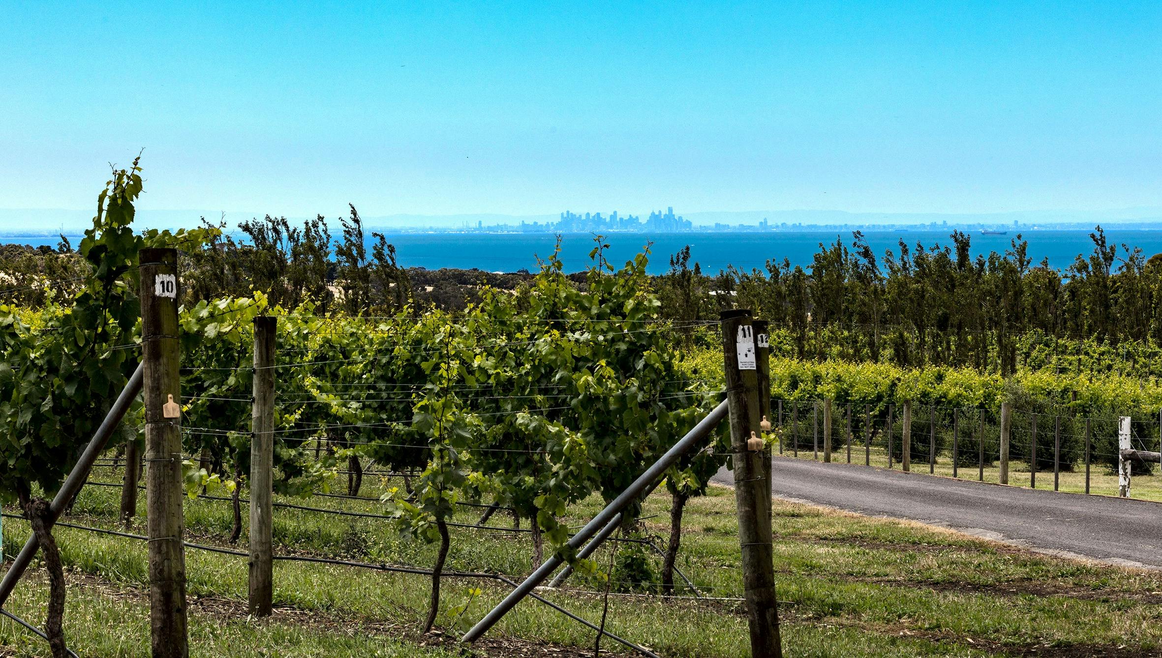 Bellarine wine tour