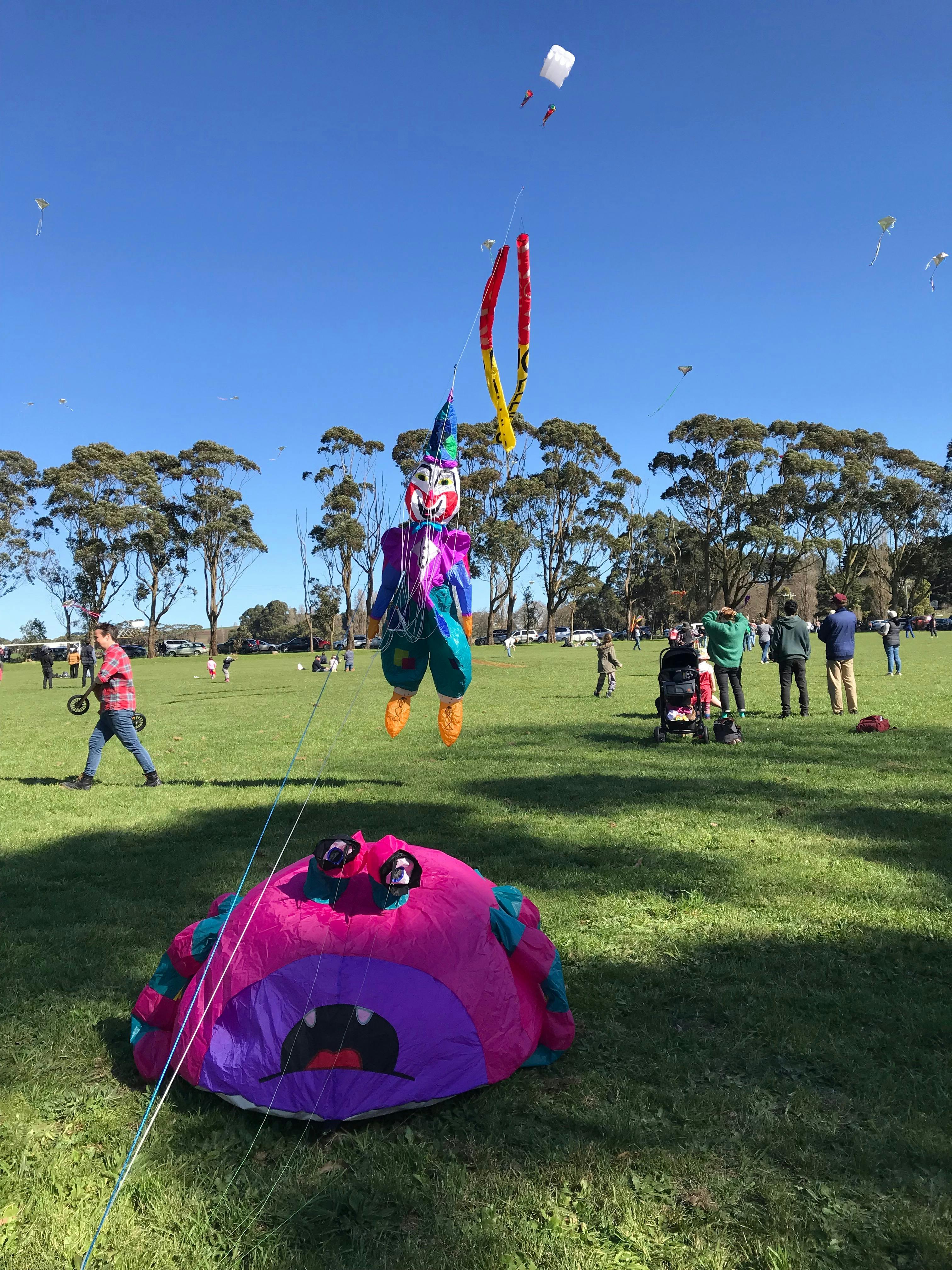 Colourful kites amongst a sea of spectators