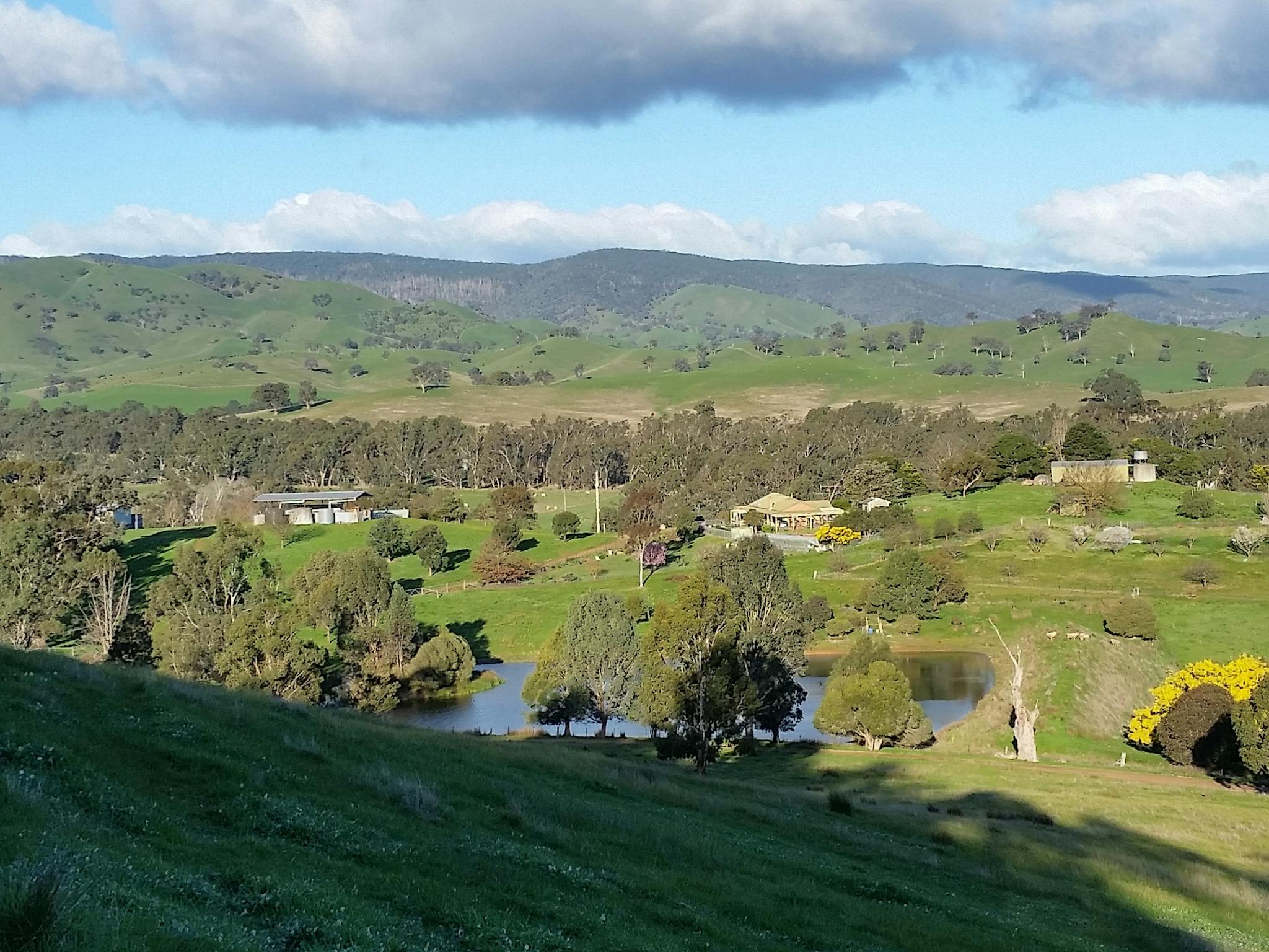 Looking east across the basin of the property towards the hills of theBlack Range in the distance.