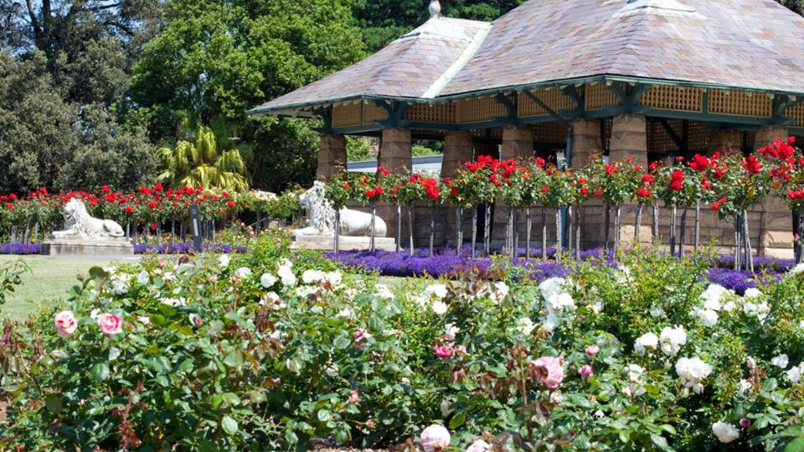 Royal Botanic Garden and the Domain