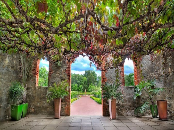 Barossa Winery Tour