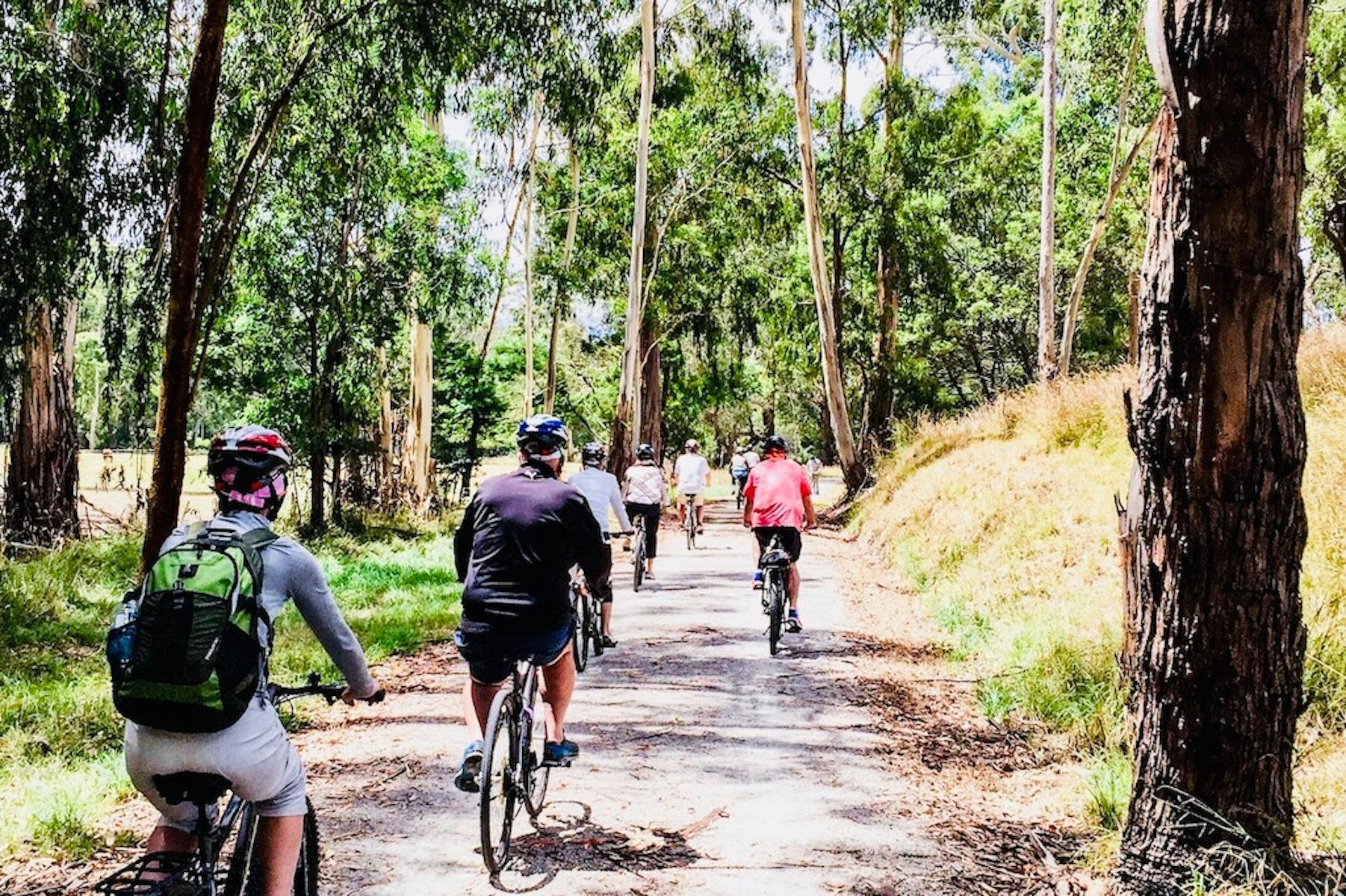 Cycling along the Warburton rail trail in the Yarra Valley