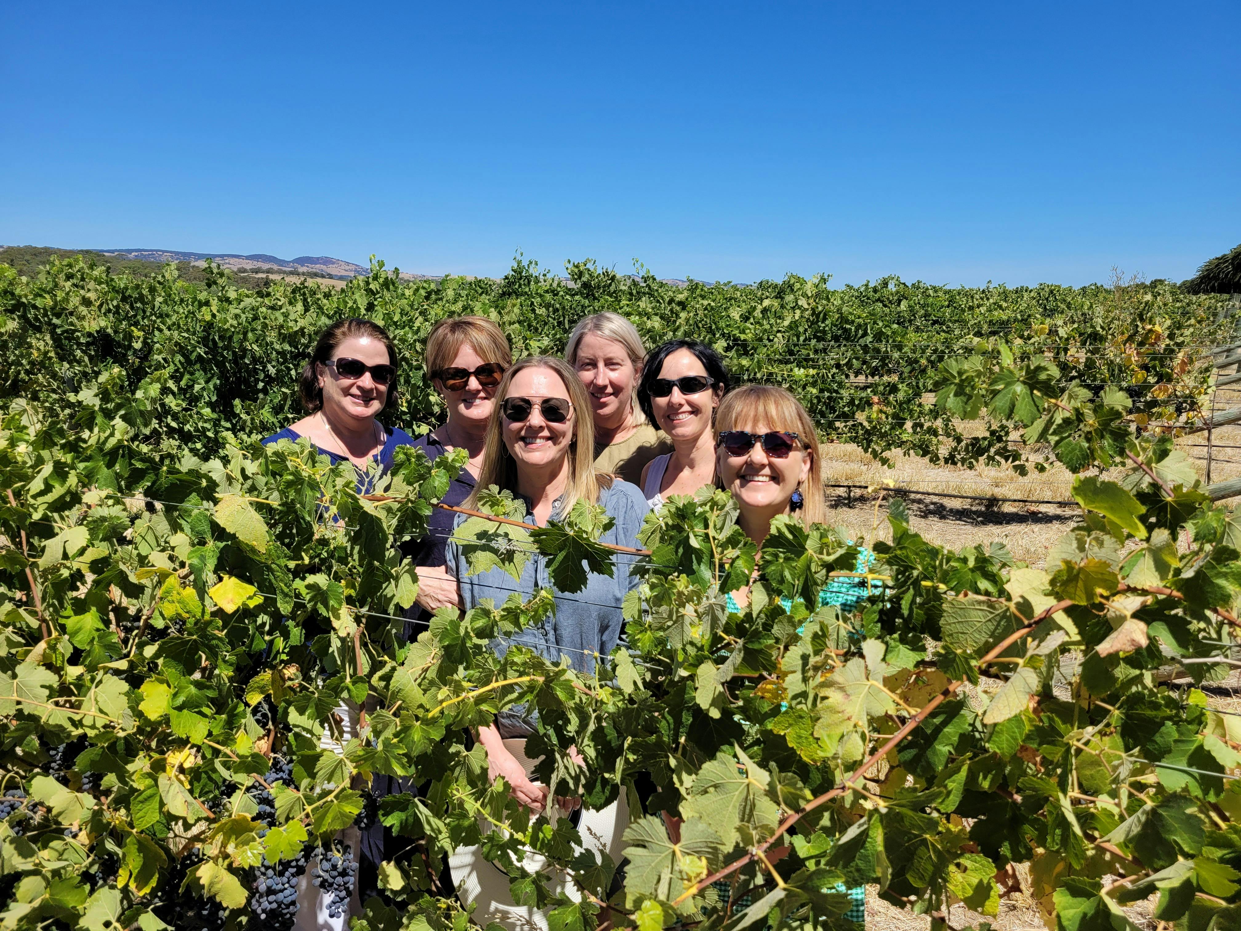 Hahndorf and Barossa Tour