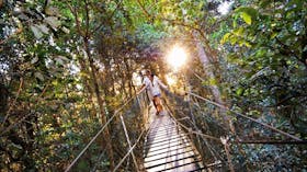 O'Reilly's Tree Top Walk