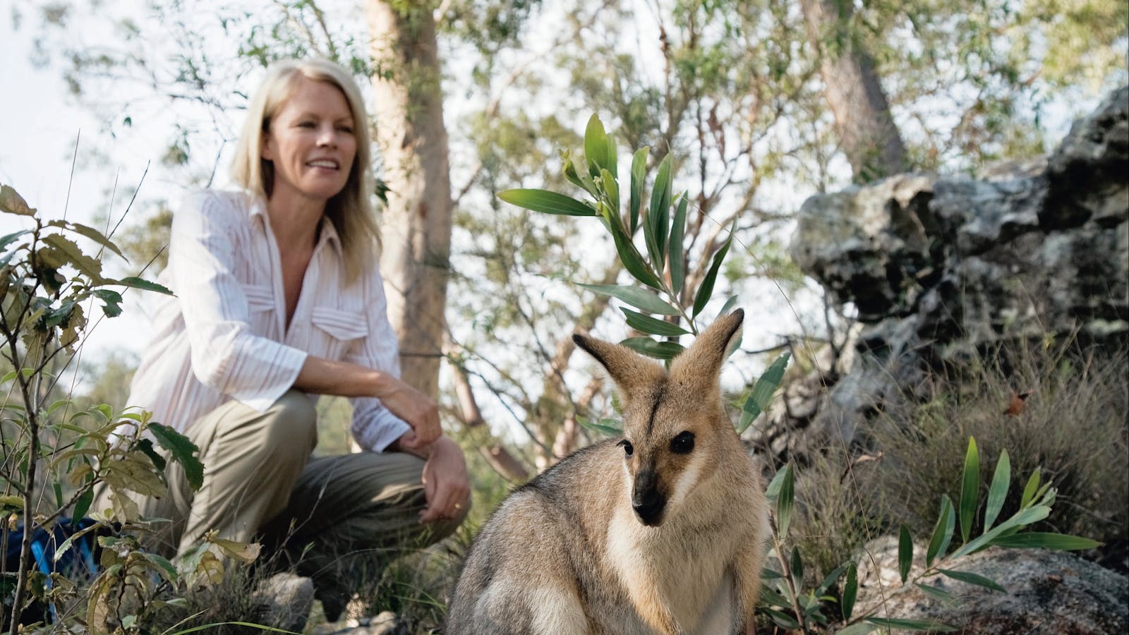 North Burnett - Mount Perry (via Monto) to Biggenden to Childers
