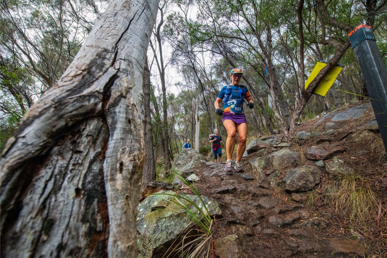 Run on incredible trails, right on Hobart's doorstep