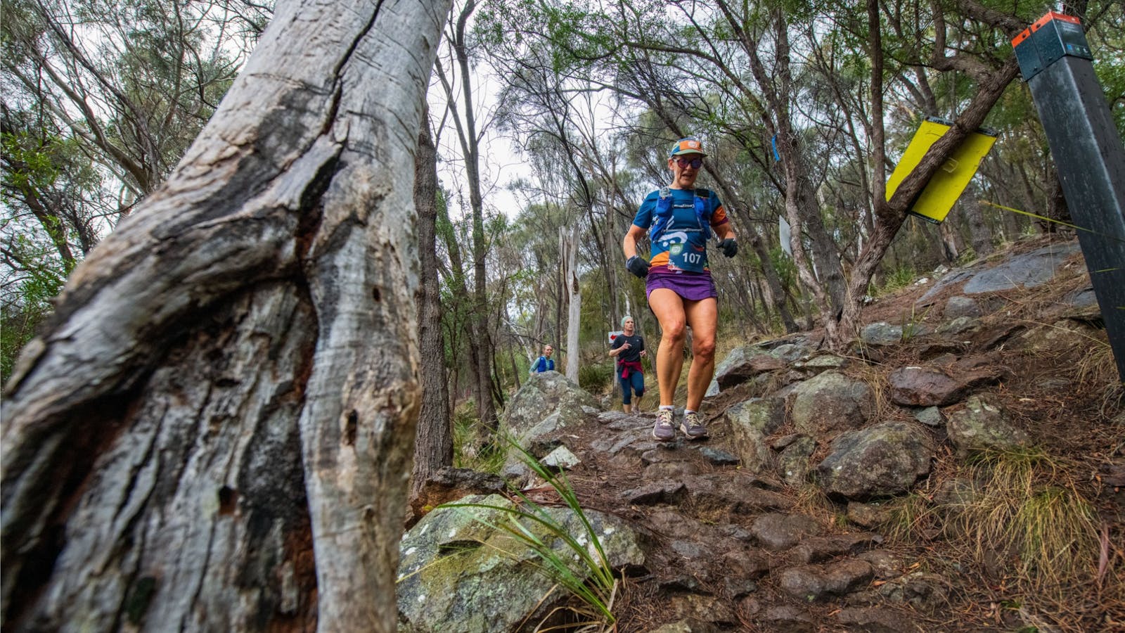 Run on incredible trails, right on Hobart's doorstep