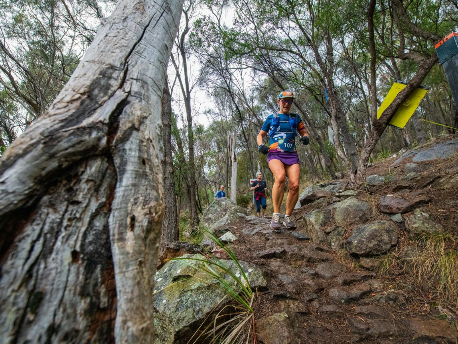 A female runner passes a tree on the trails at Rialannah