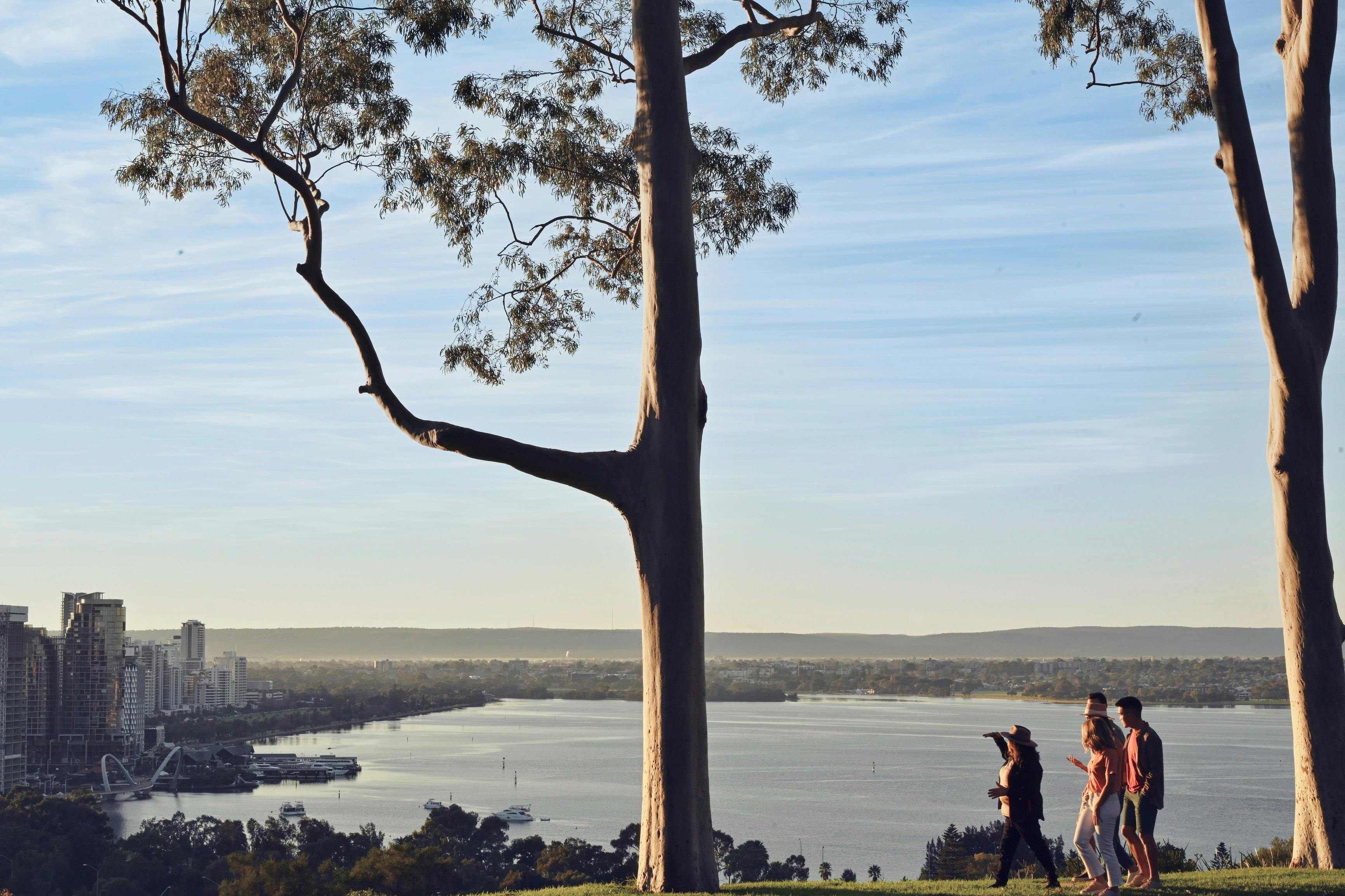 Kings Park Botanical Walks