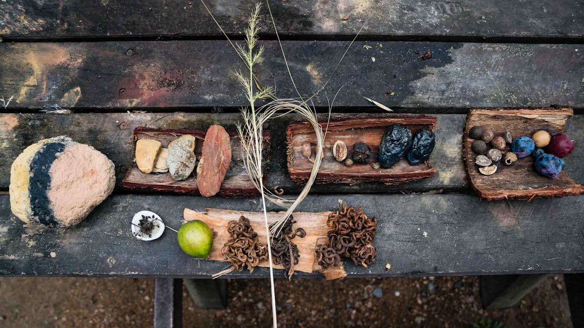 Bush tea and damper on an outdoor table