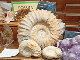 Launceston Gem and Mineral Show Cover Image