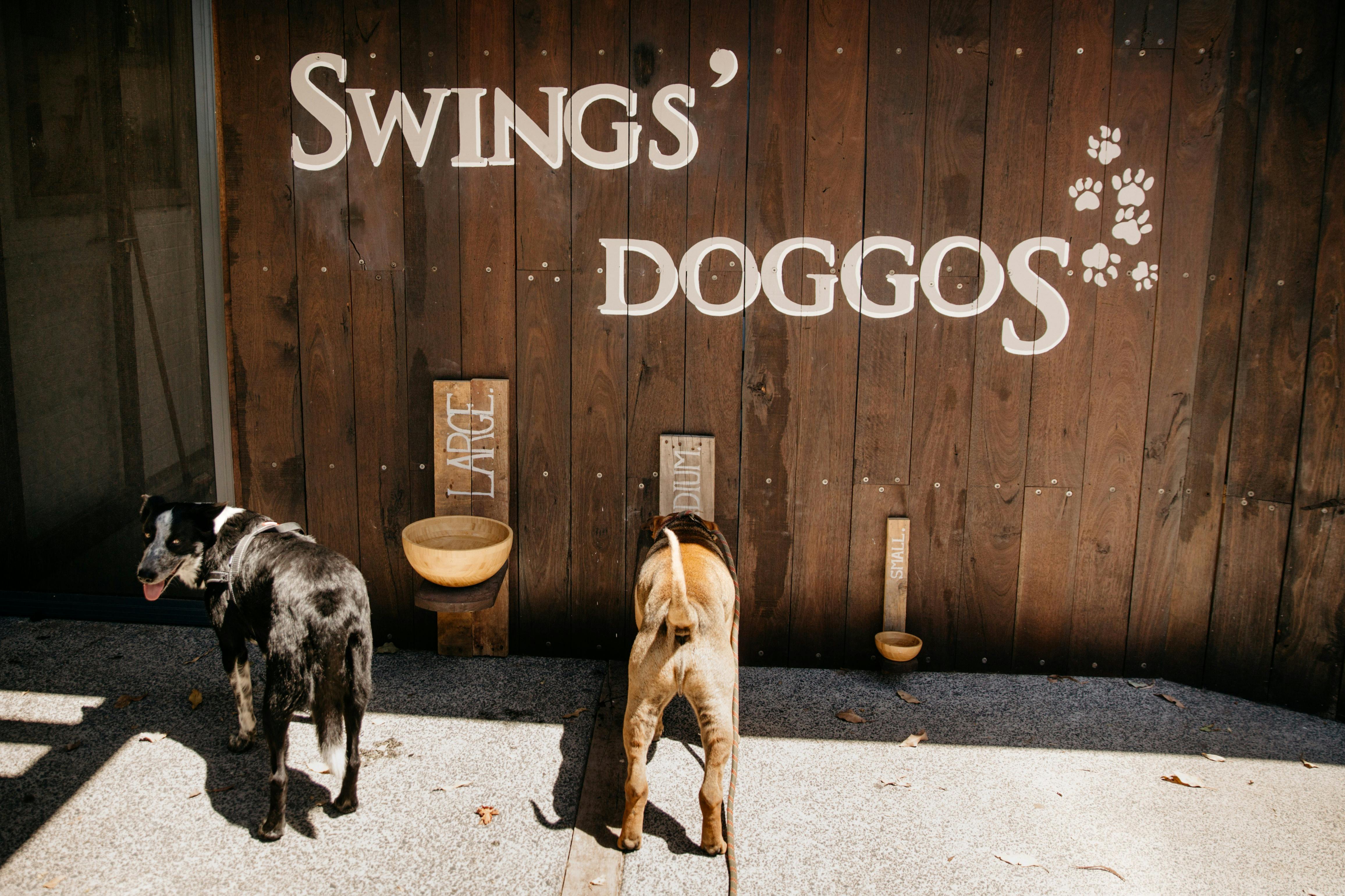 Swings and Roundabouts, Yallingup, Western Australia