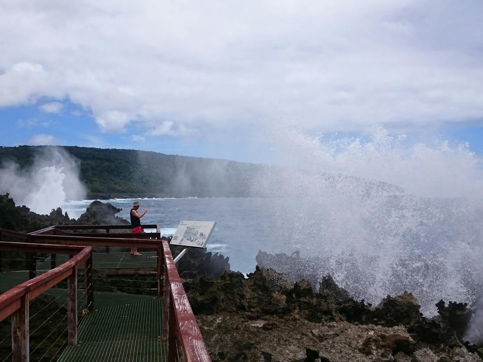 The Blowholes