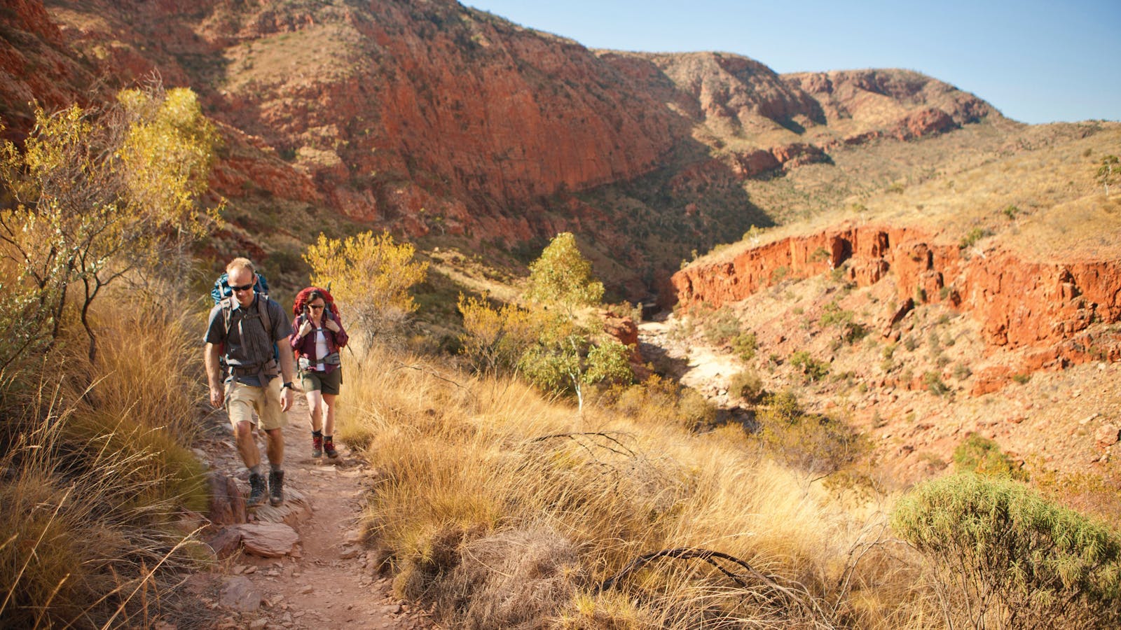 Larapinta Trail