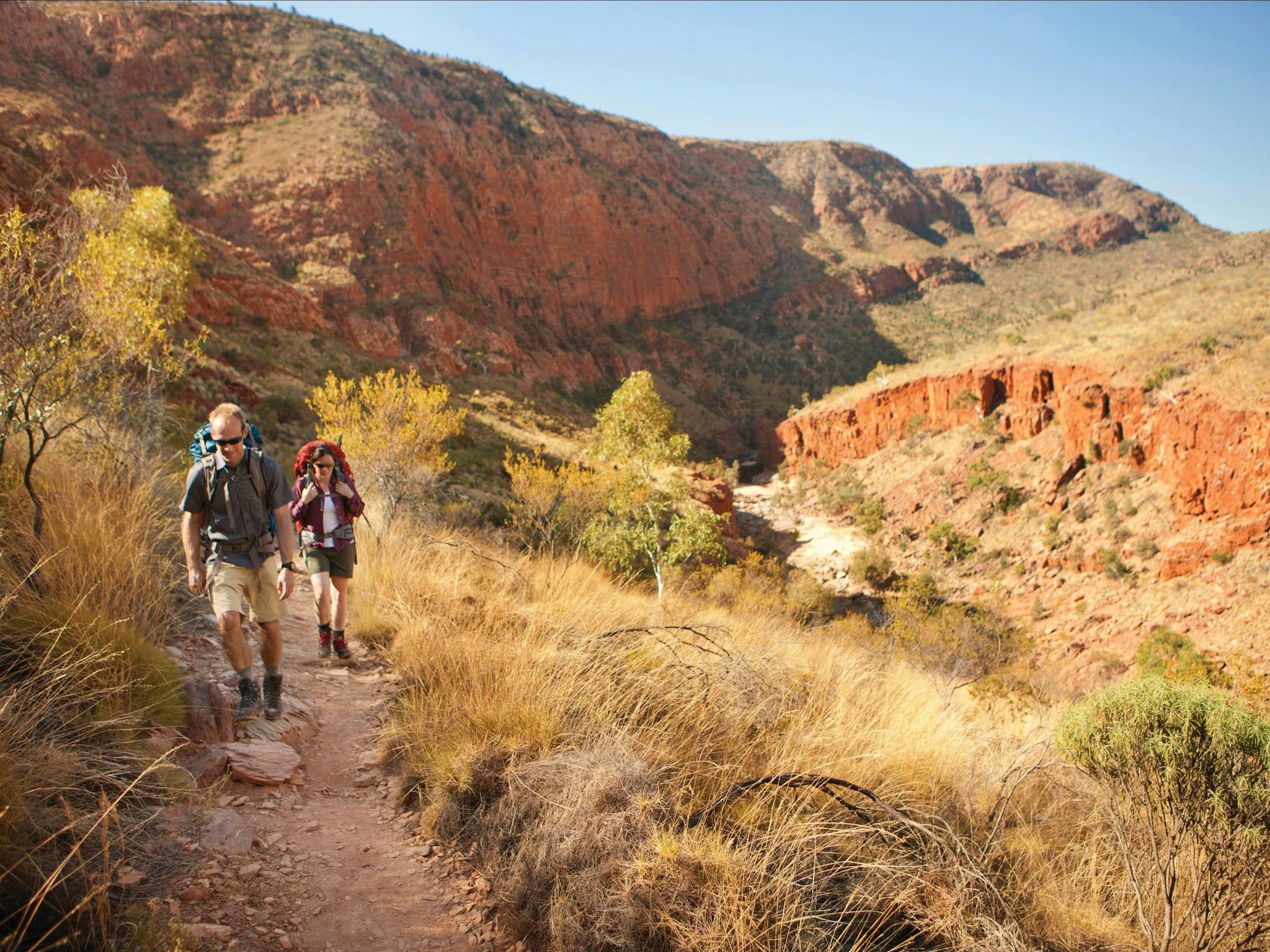 West Macs Larapinta Trail