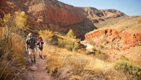 Larapinta Trail