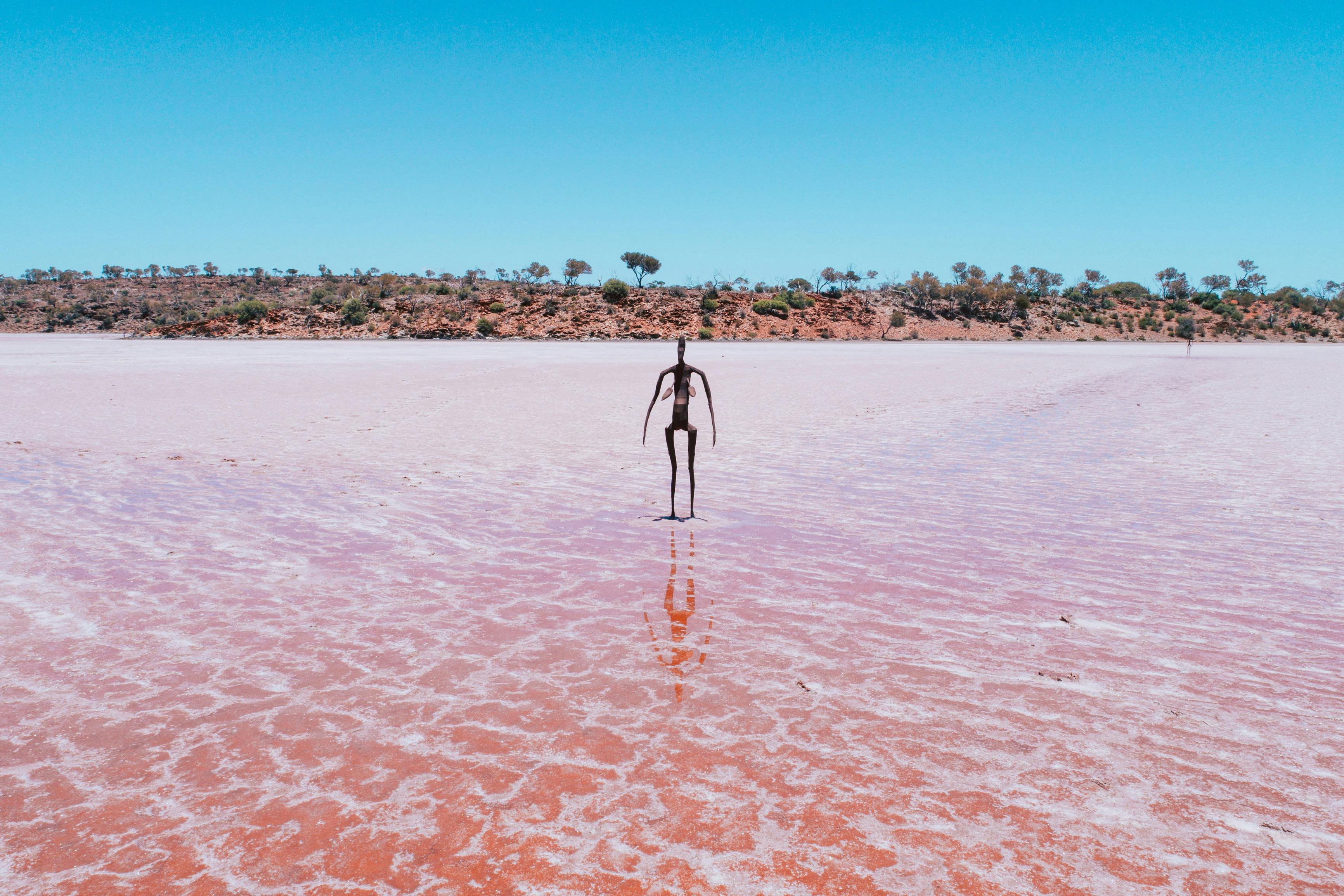 Antony Gormley Sculptures at Lake Ballard