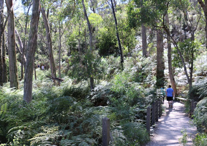 Cleland Hike and Wildlife