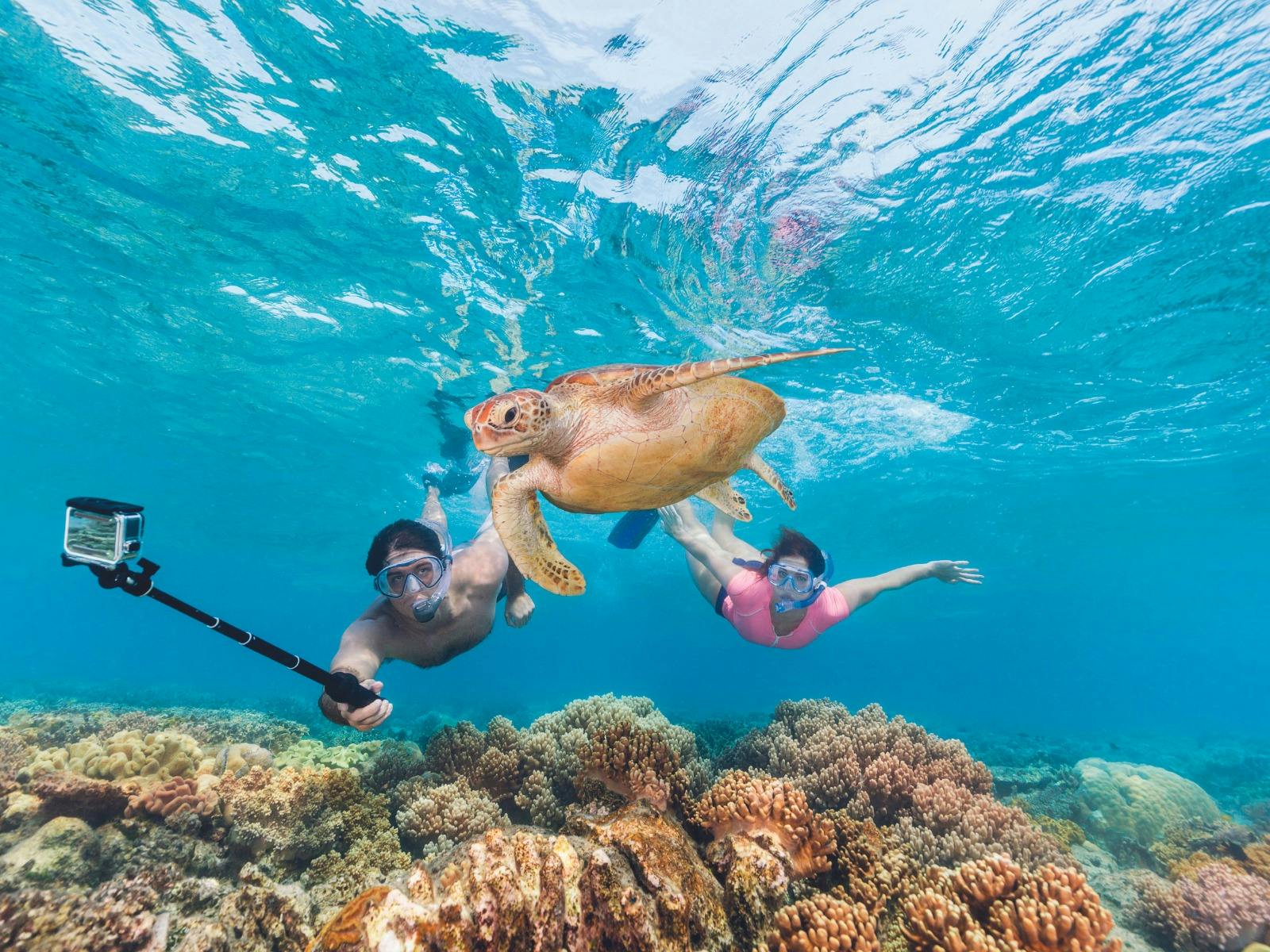 Snorkelling in Far North Queensland after a road trip in an East Coast Car Rental