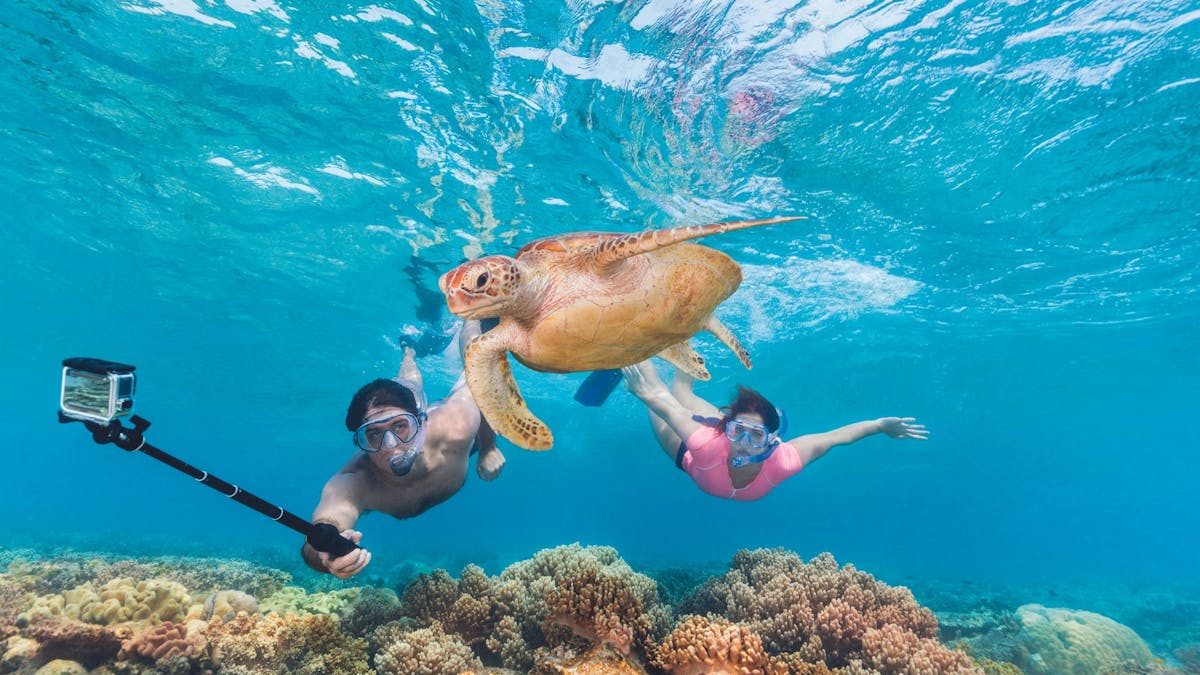 Snorkelling in Far North Queensland after a road trip in an East Coast Car Rental