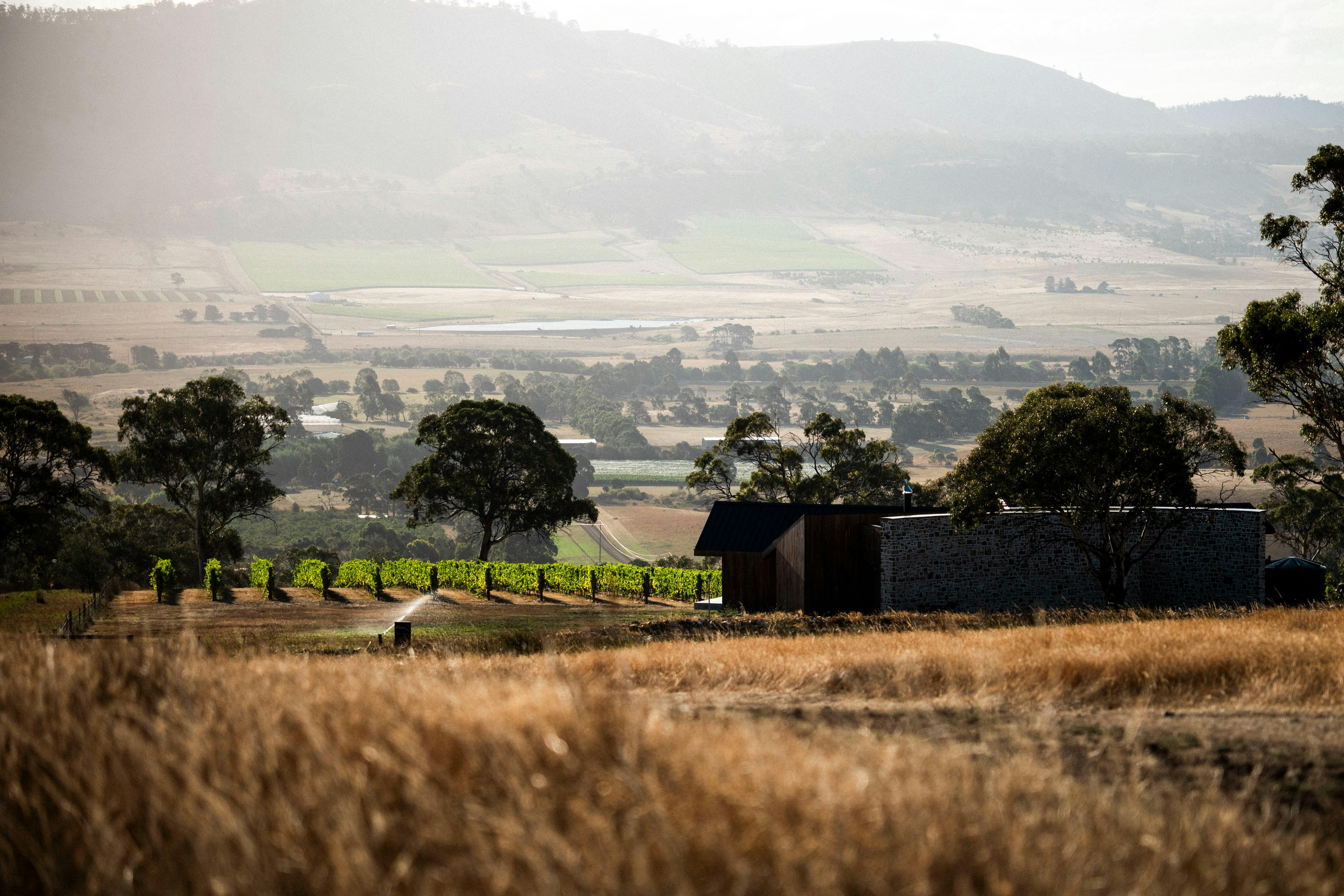 Caledon Estate