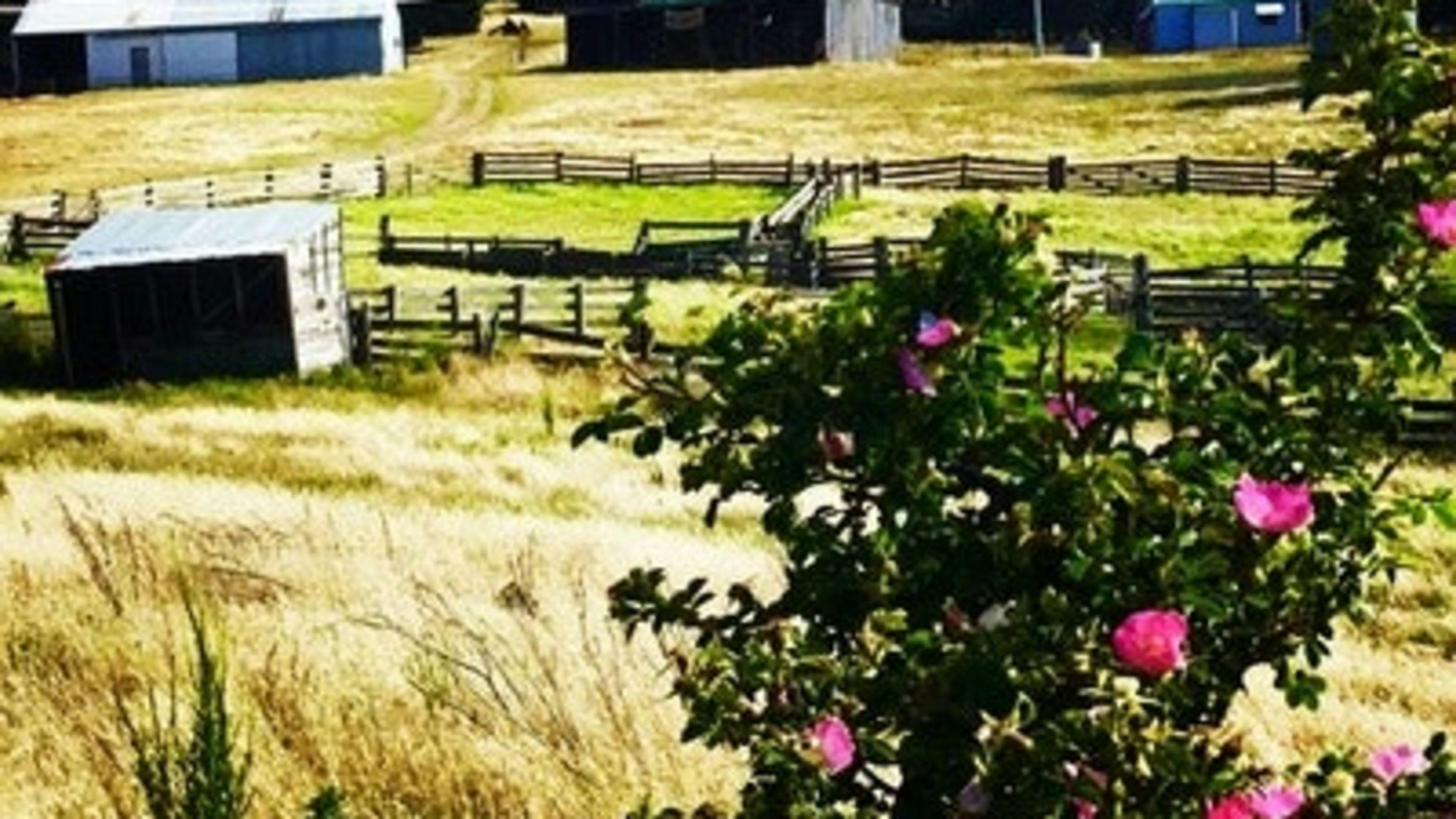 Rathmore Tasmania