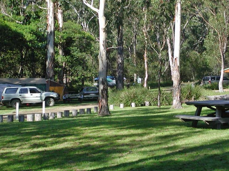 Chaelundi Campground, Guy Fawkes River National Park. Photo: Barbara Webster/NSW Government