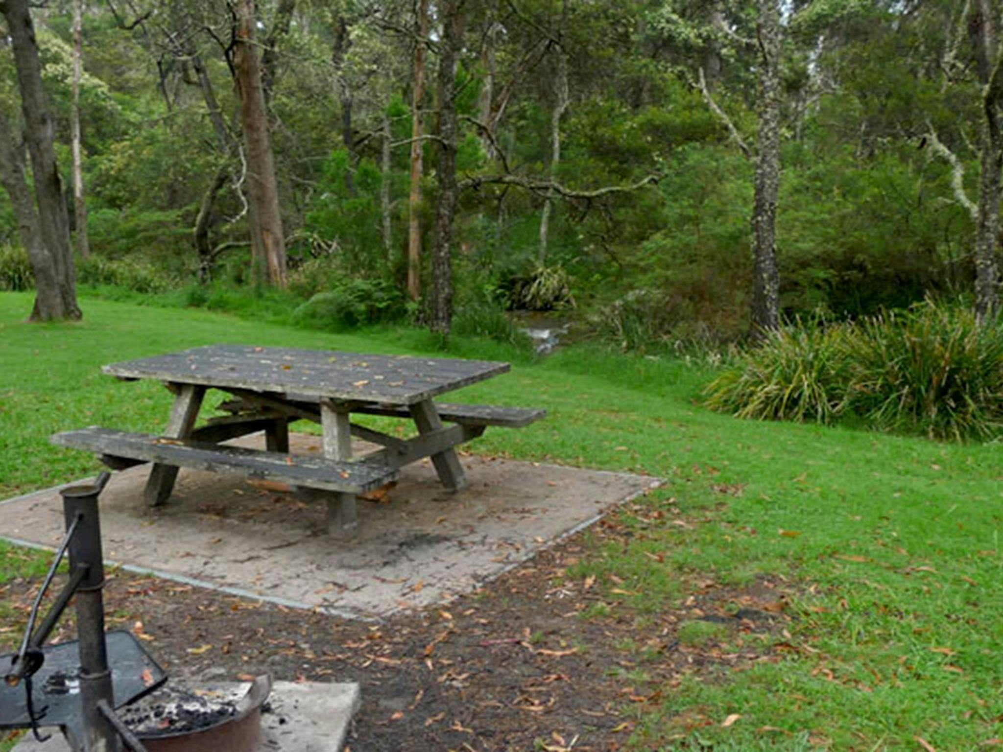 Campingplatz Chaelundi, Guy-Fawkes-River-Nationalpark. Foto: Regierung von New South Wales