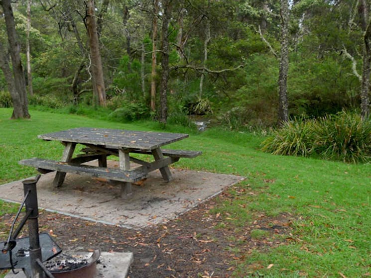 Chaelundi Campground, Guy Fawkes River National Park. Photo: NSW Government