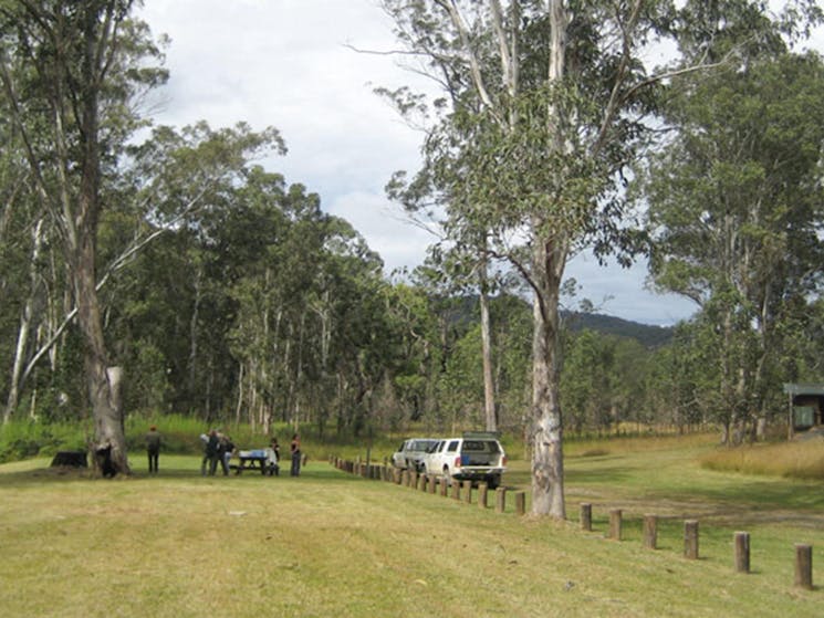 Doone Gorge campground, Chaelundi National Park. Photo: A Harber/NSW Government
