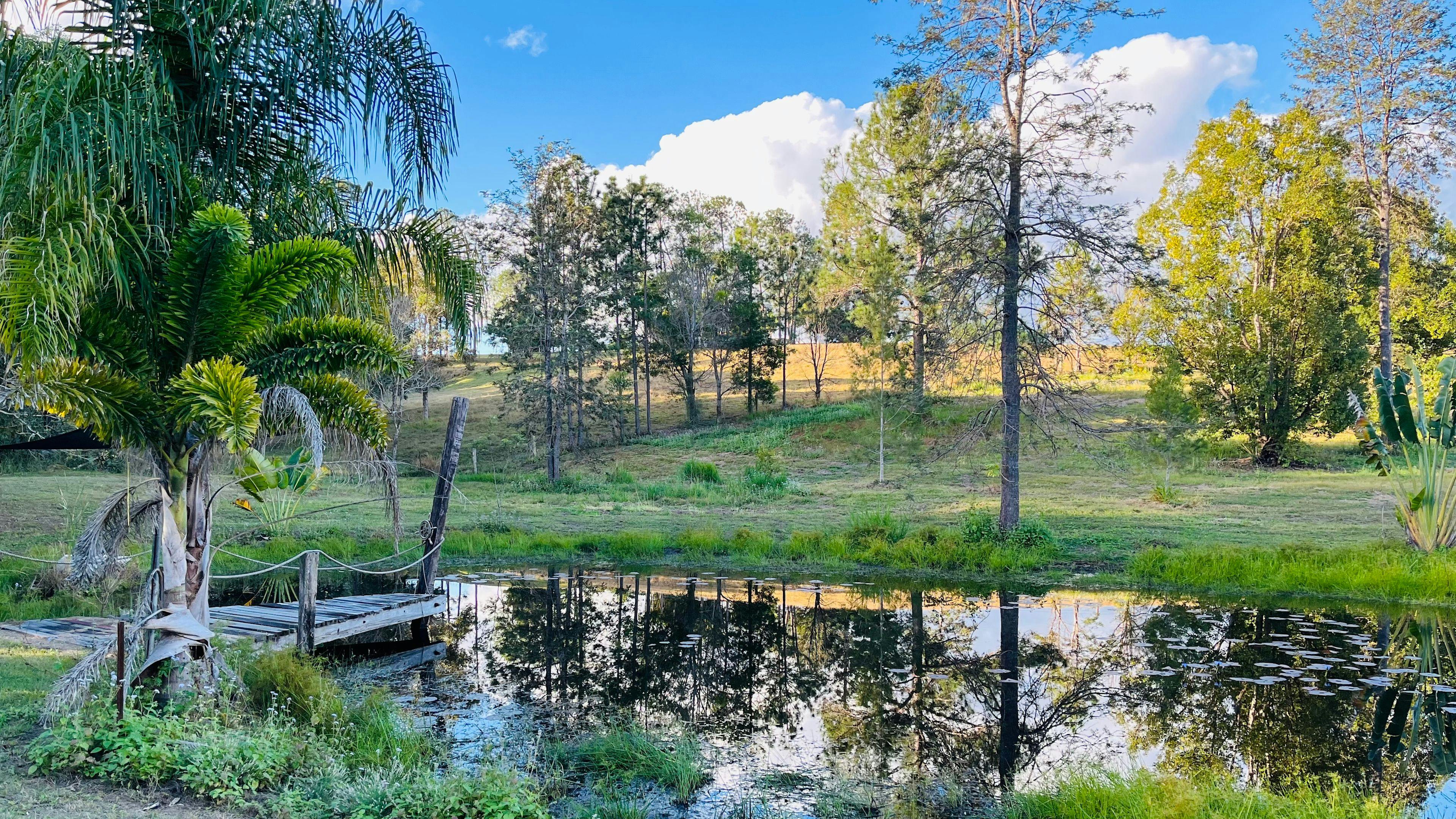 Chain of Ponds Campsite