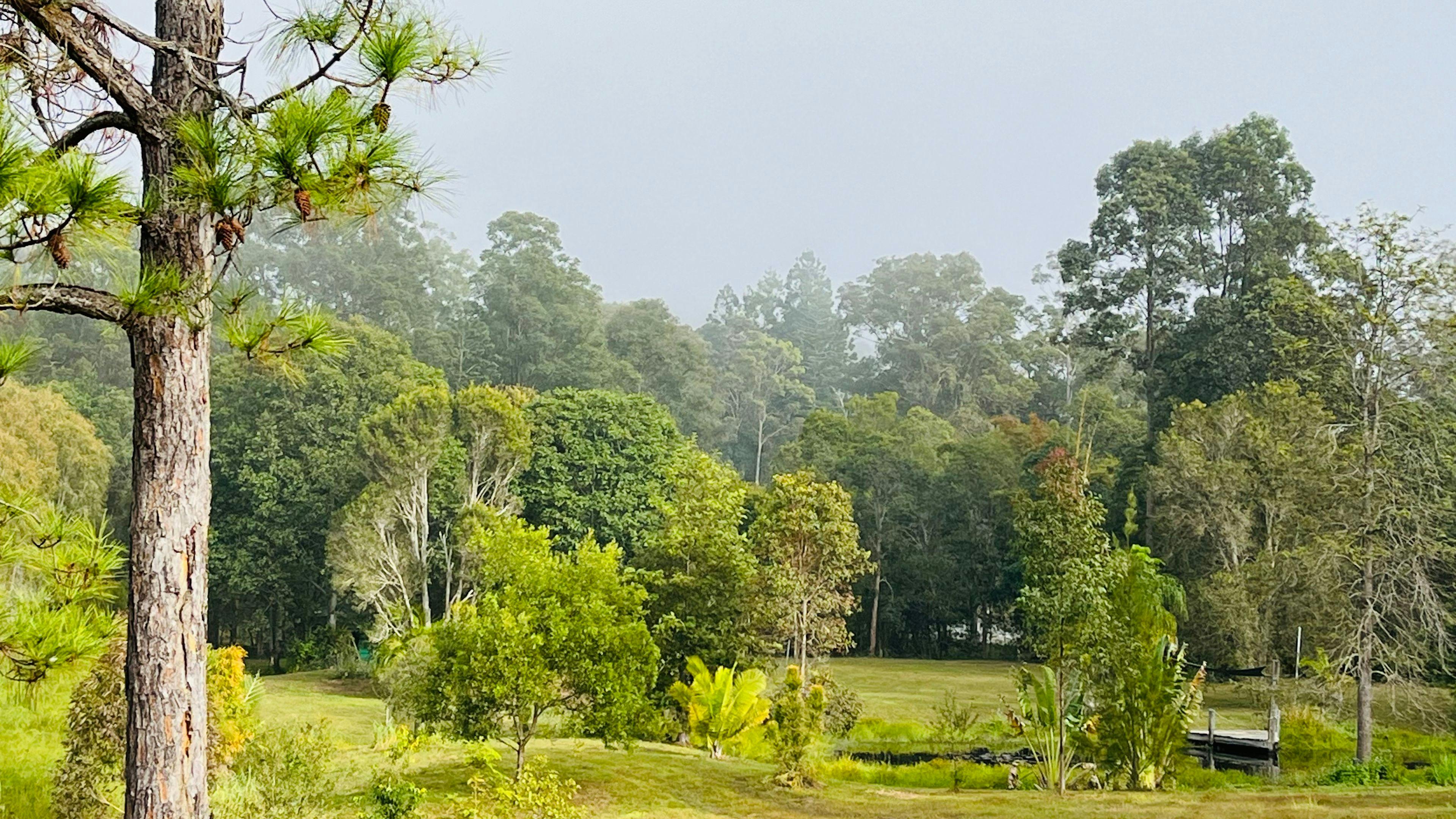 Chain of Ponds Campsite