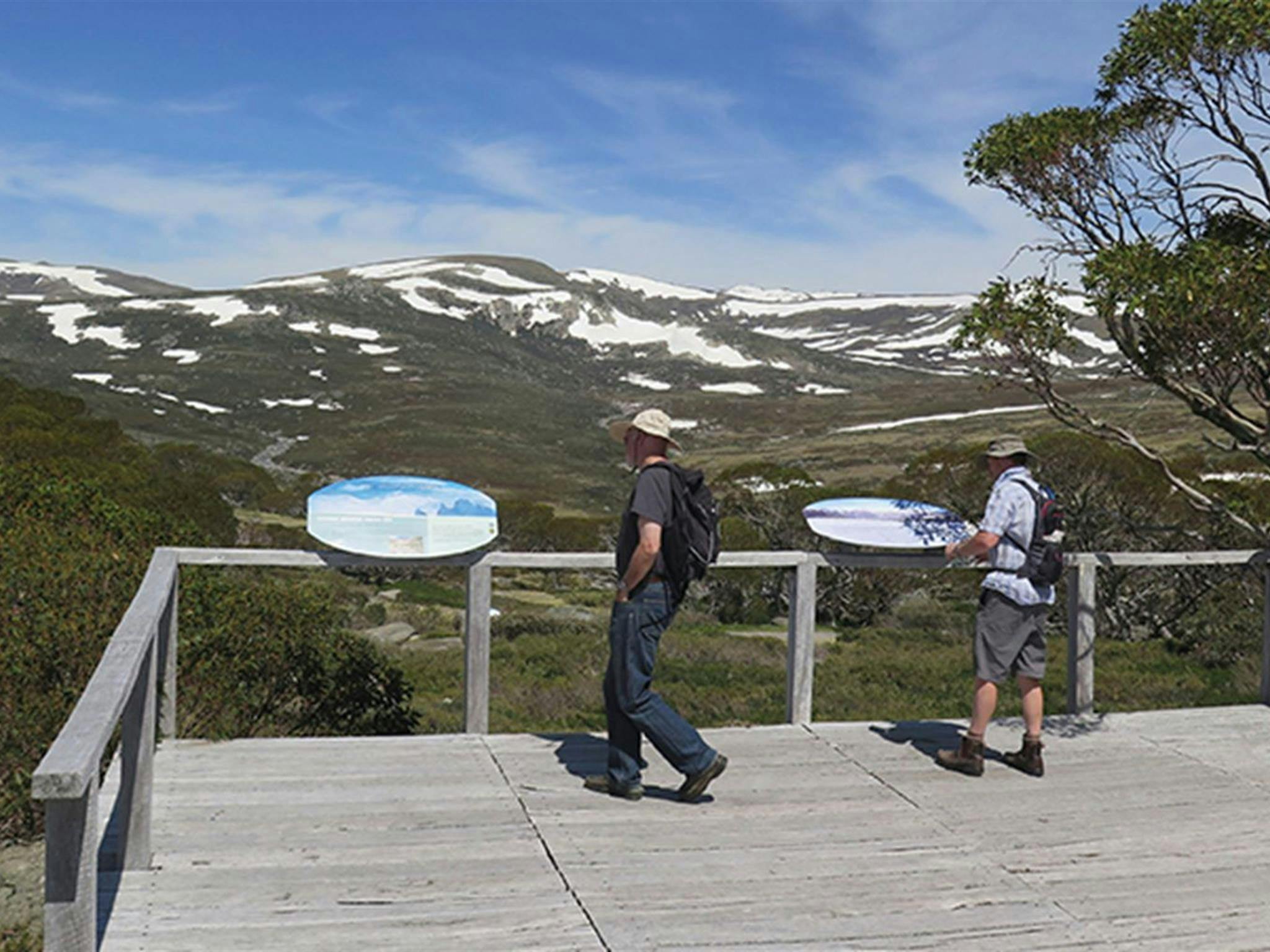 Charlotte Pass lookout