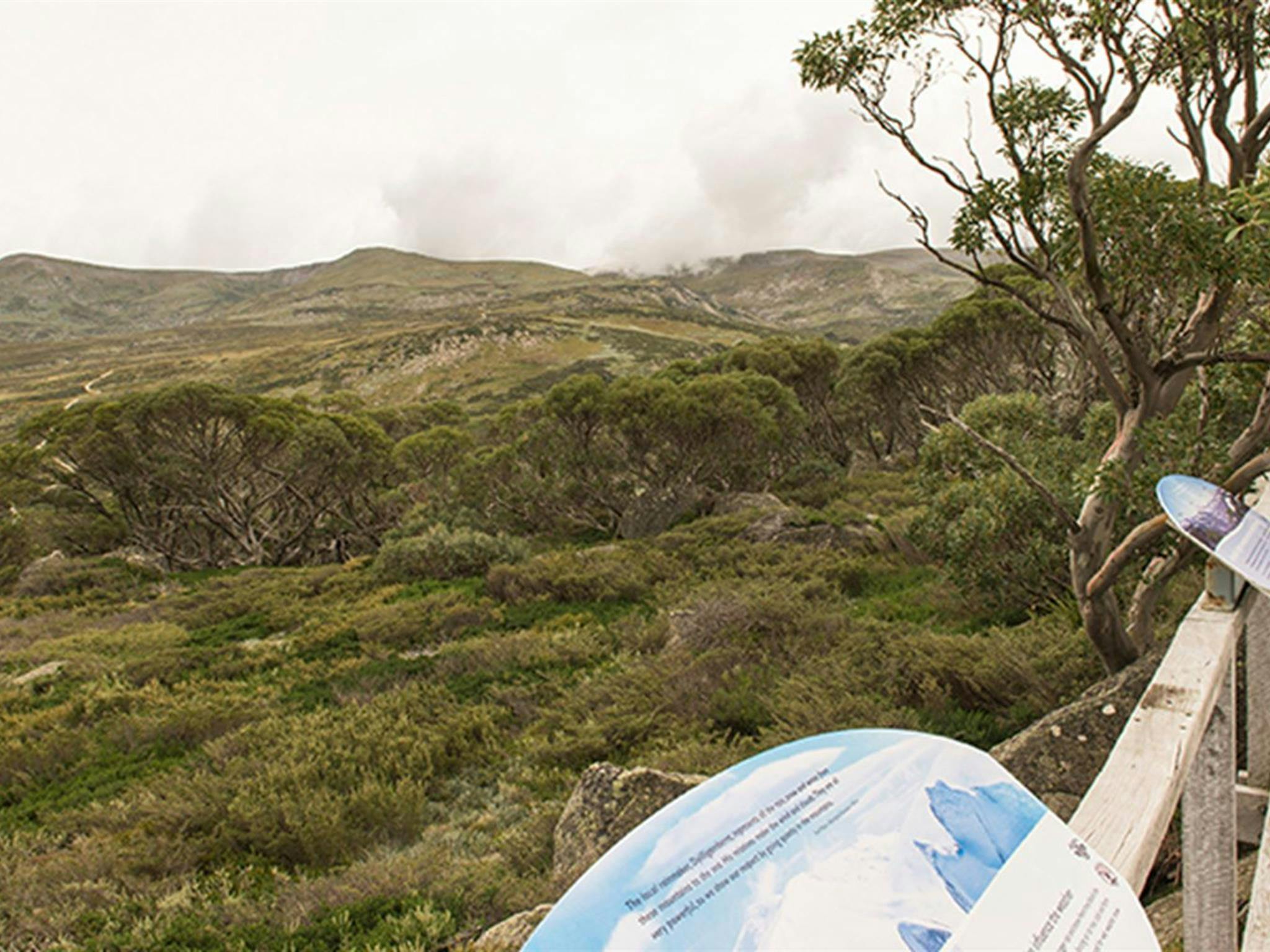 ブッシュランドと高山の風景に設定された情報パネルを備えた展望台の端