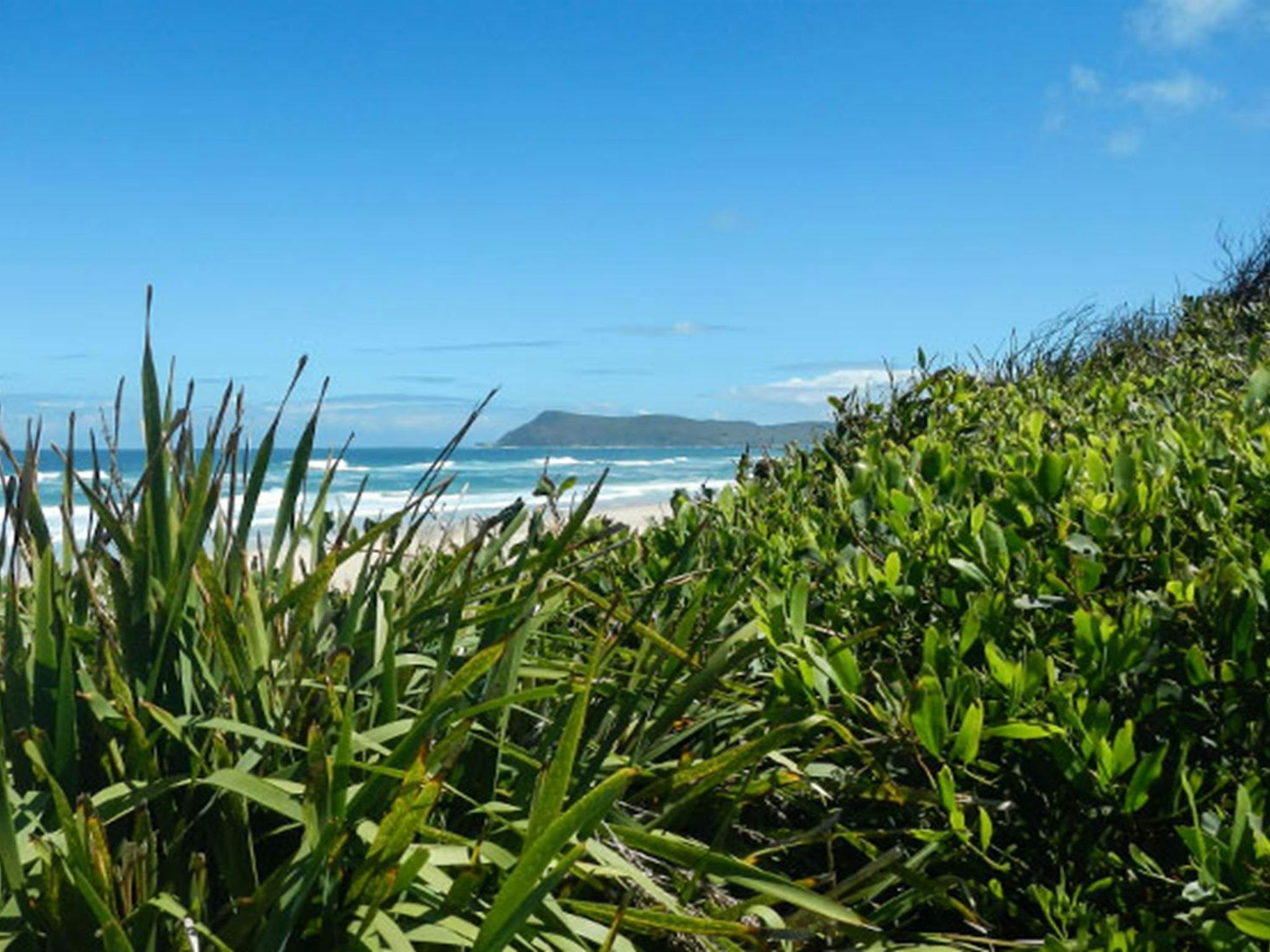 Cheesetree picnic area, Crowdy Bay National Park. Photo: Debby McGerty &copy; OEH